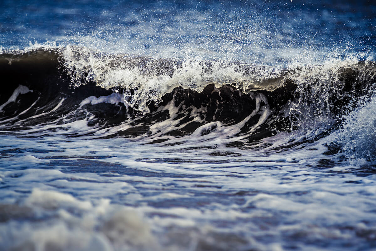 Featured image for “The Oneness of Eternal Water”