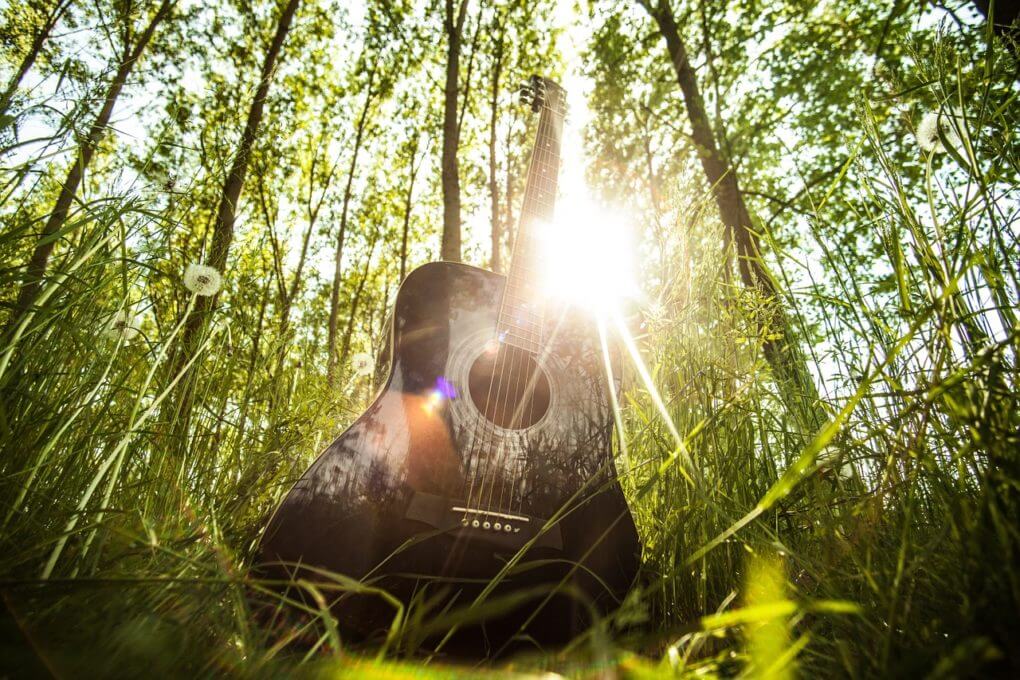 Freebird