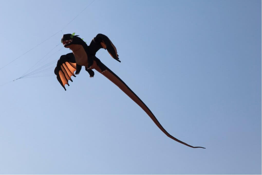 Dragons