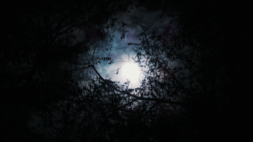 Moonlight
