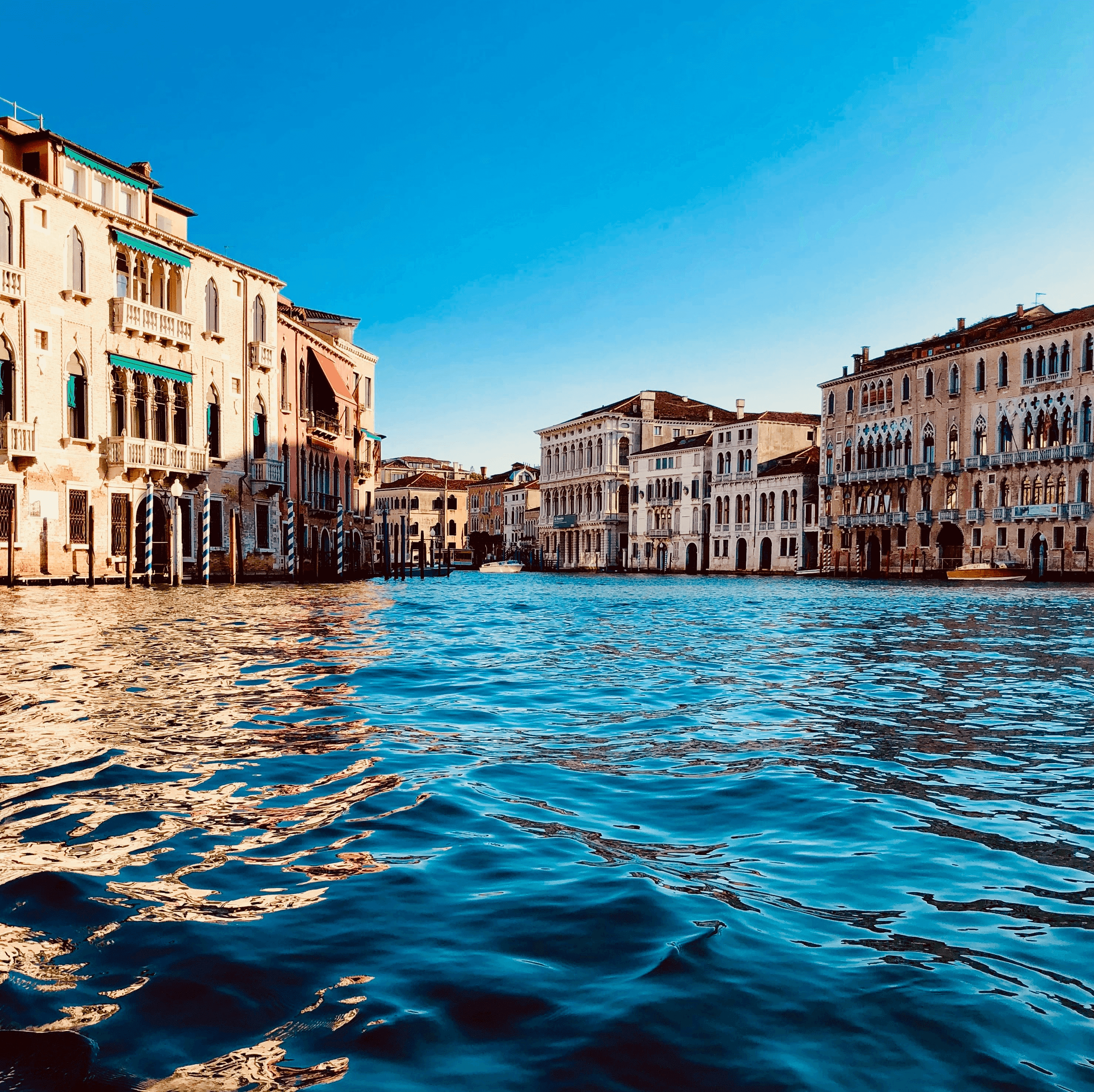 Featured image for “Acqua Alta”