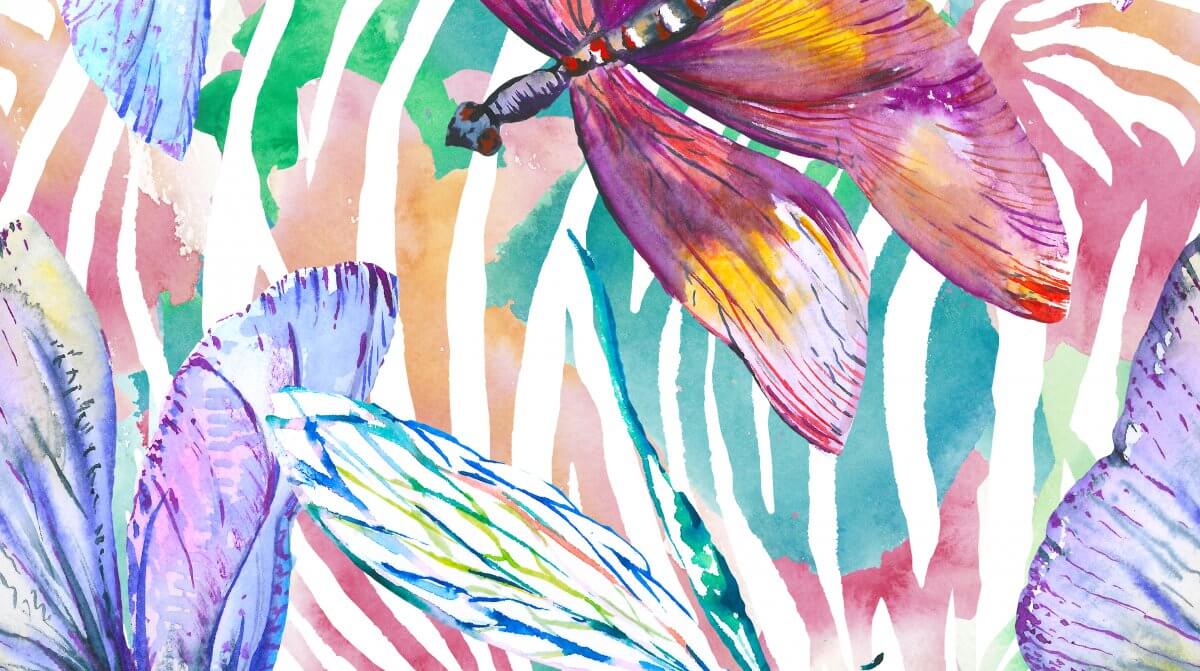 Book of Dragonflies