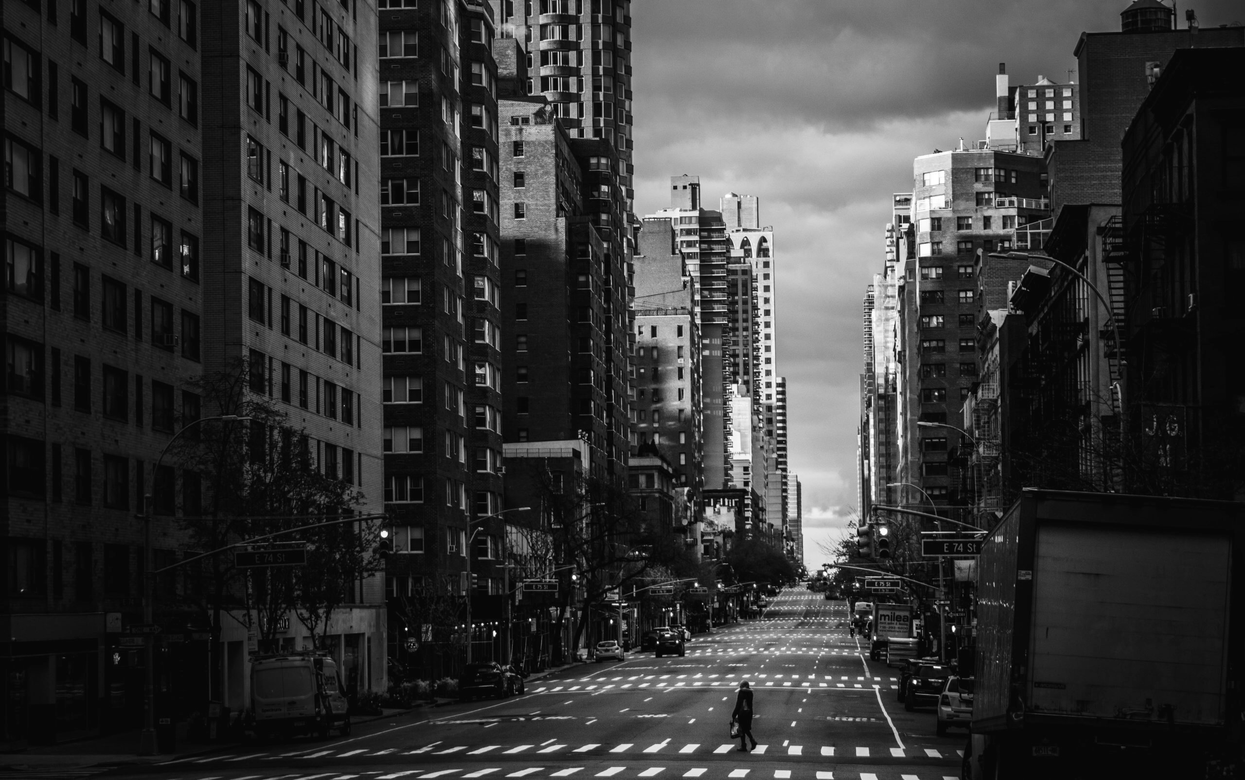 Featured image for ““Street Landscaping,” “Hoodie in the Wind” and “City Birds””