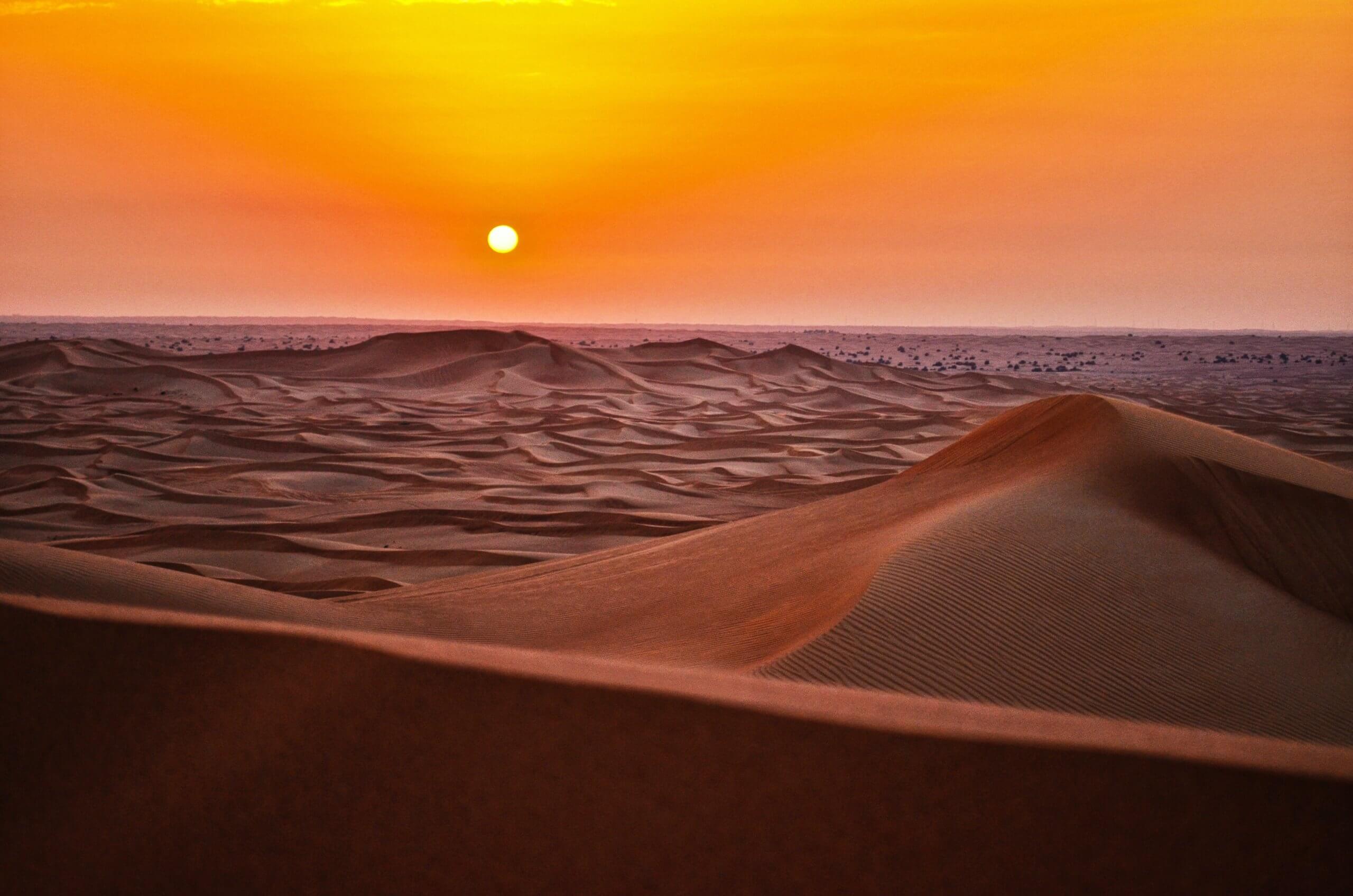 Featured image for “The Garden of Eden”