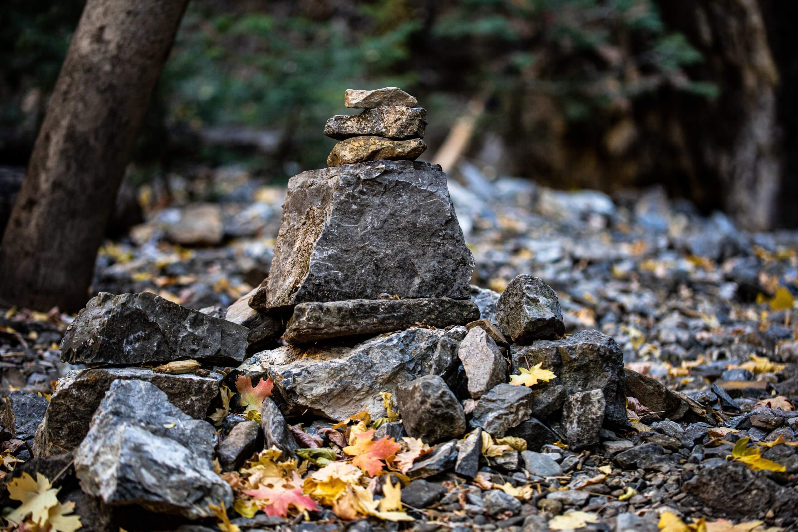 Featured image for ““Stone Pillow,” “Gold Rush Girl” and “#TrashFries””
