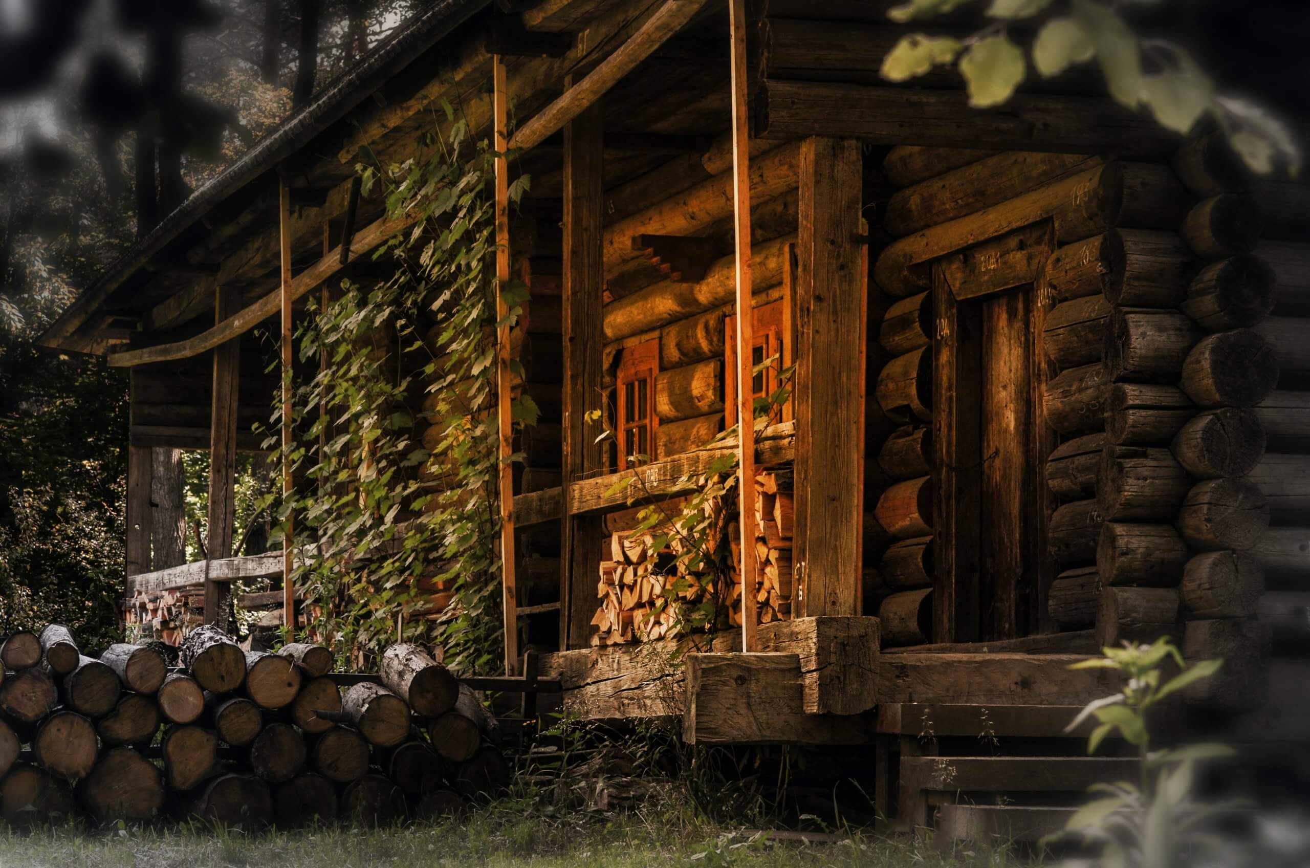 Featured image for “The Cabin”