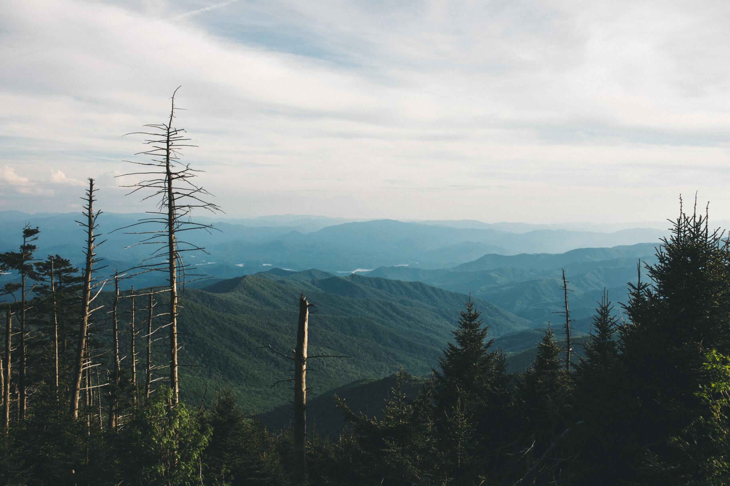 Featured image for “19 Miles”