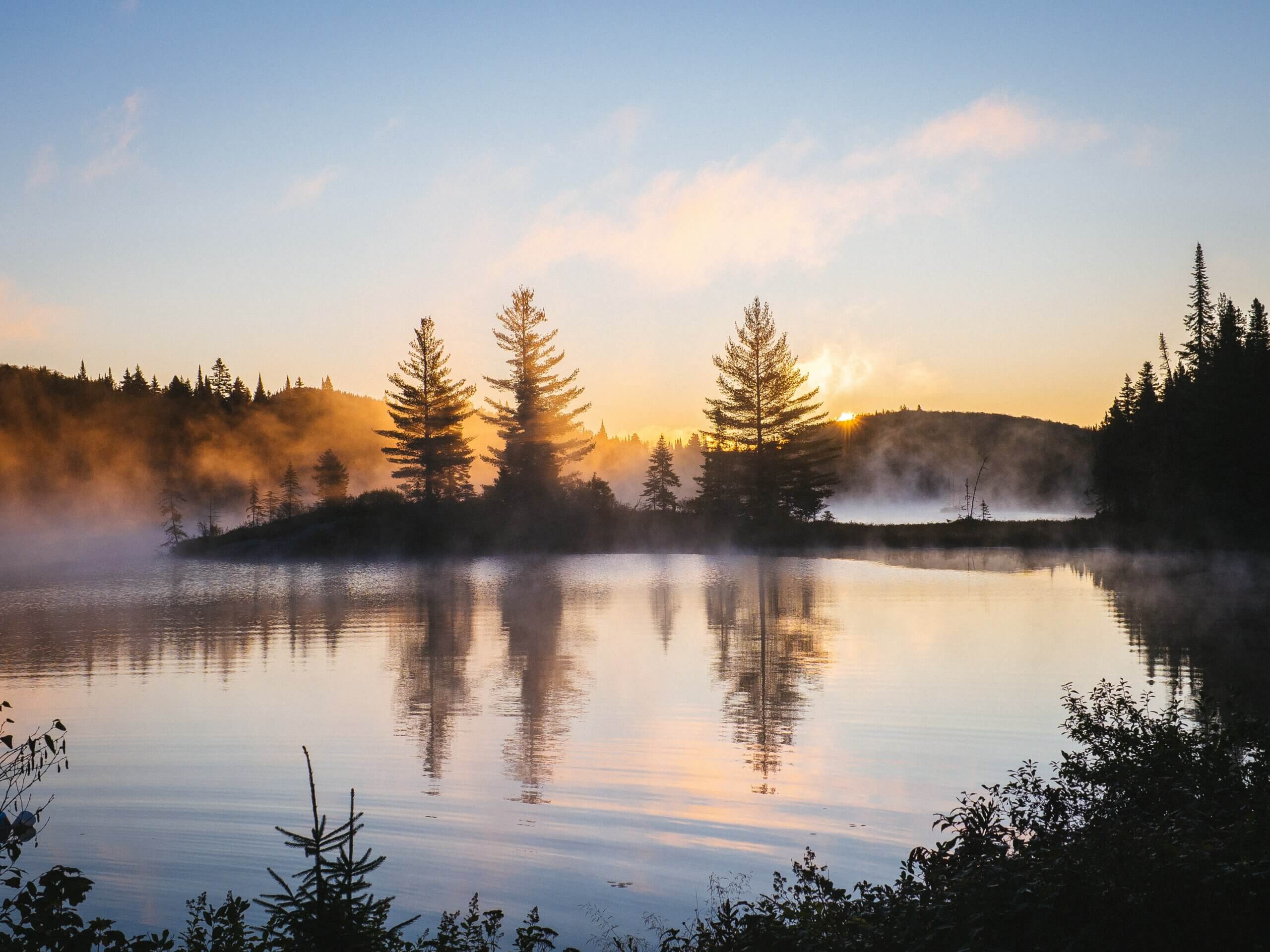 Featured image for “The Island”