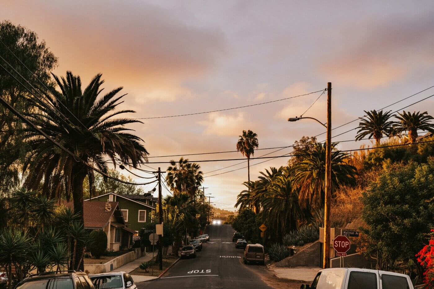 yolk of the neighborhood