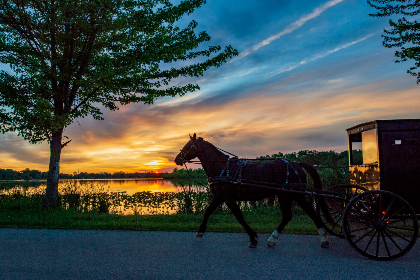 My Supposed Amish Life