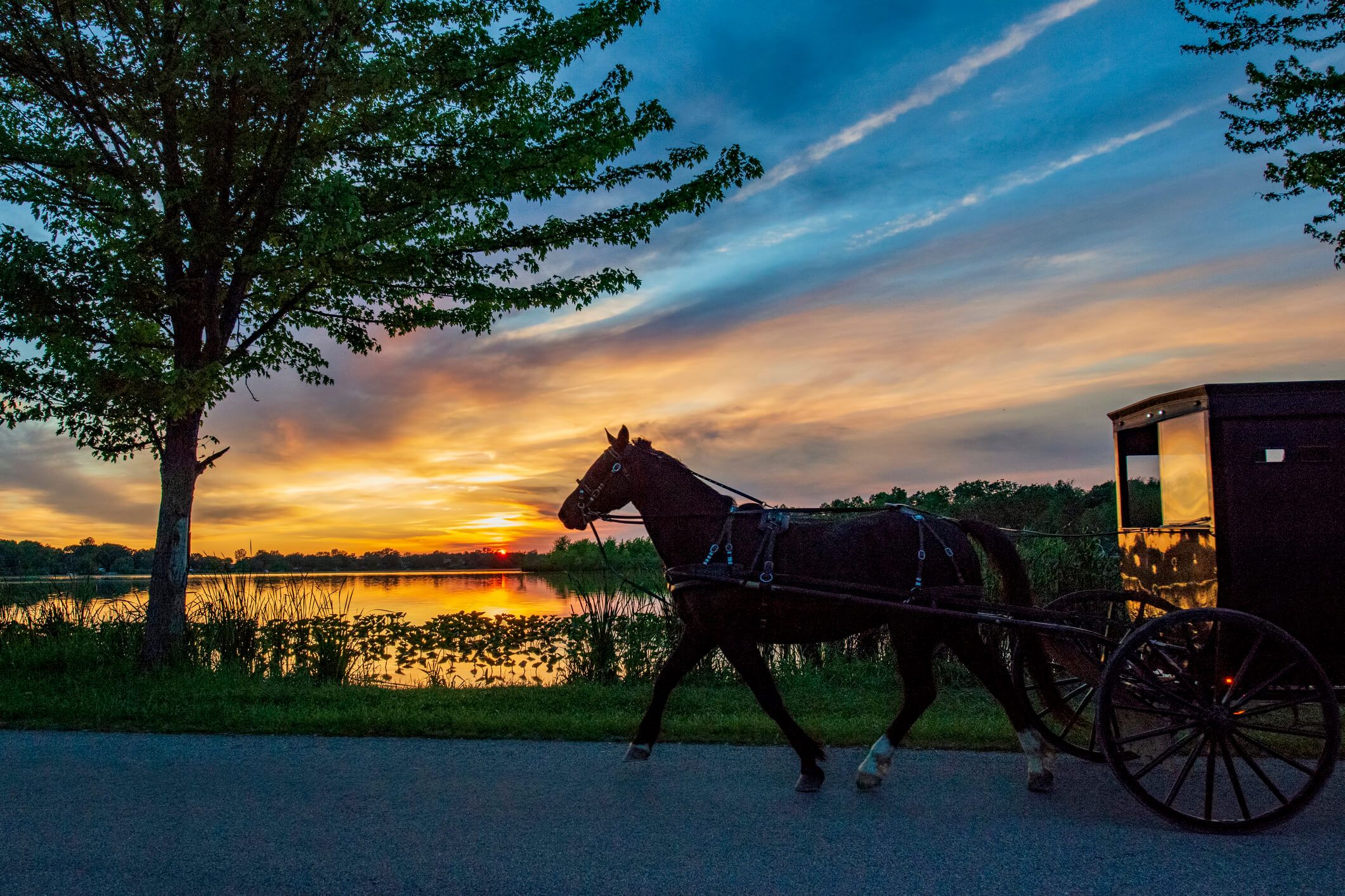 My Supposed Amish Life