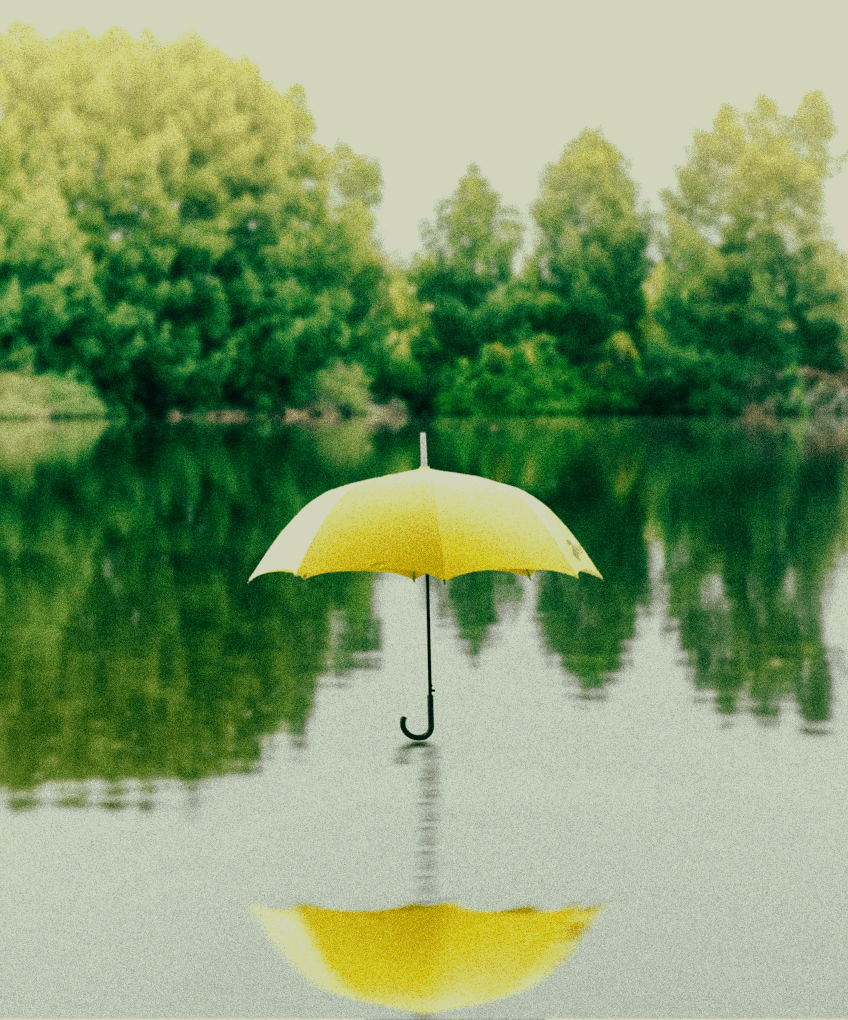 Umbrellas on Water