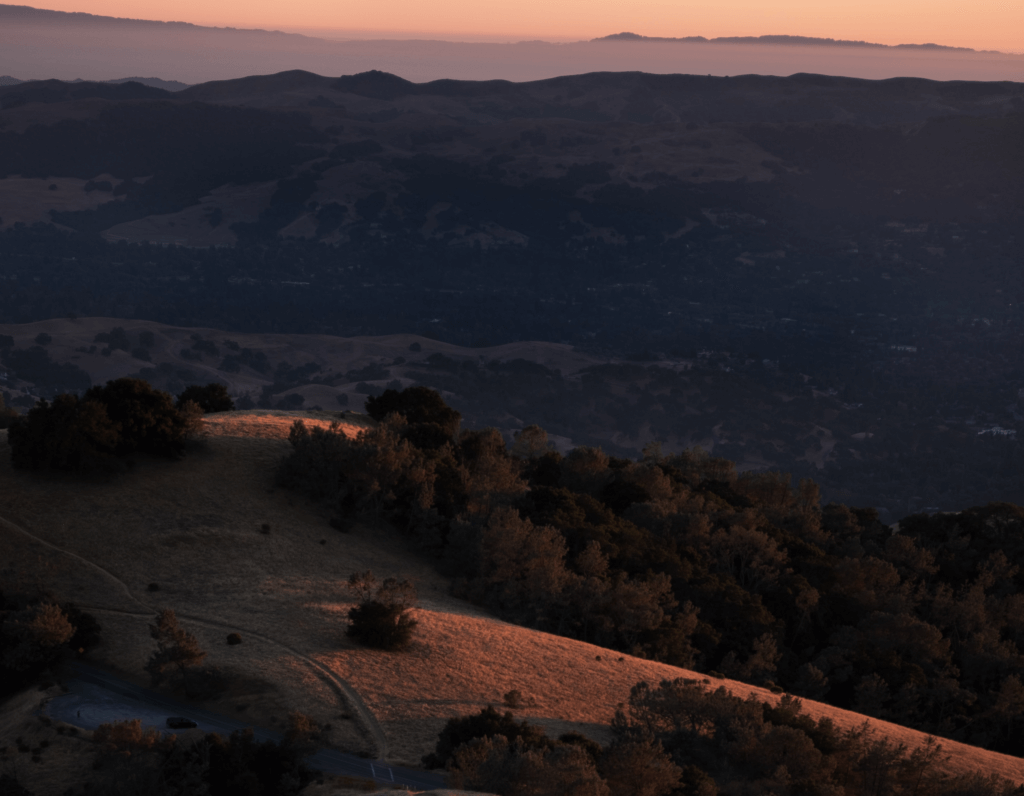 “Cantúa Creek,” “Joaquin,” and “Mustang Running” Stephen Barile The