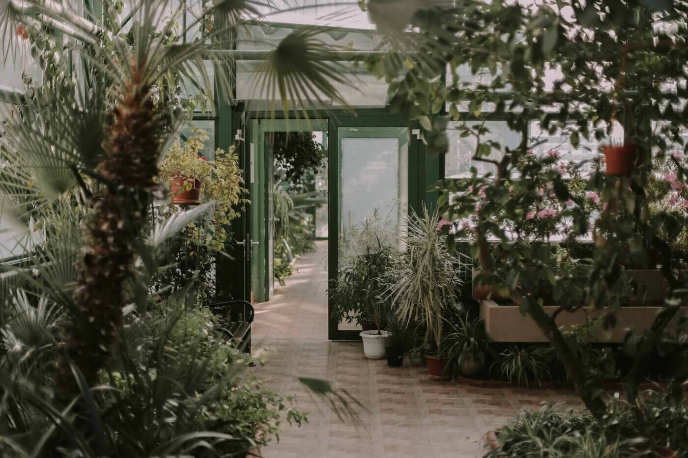 The Greenhouse