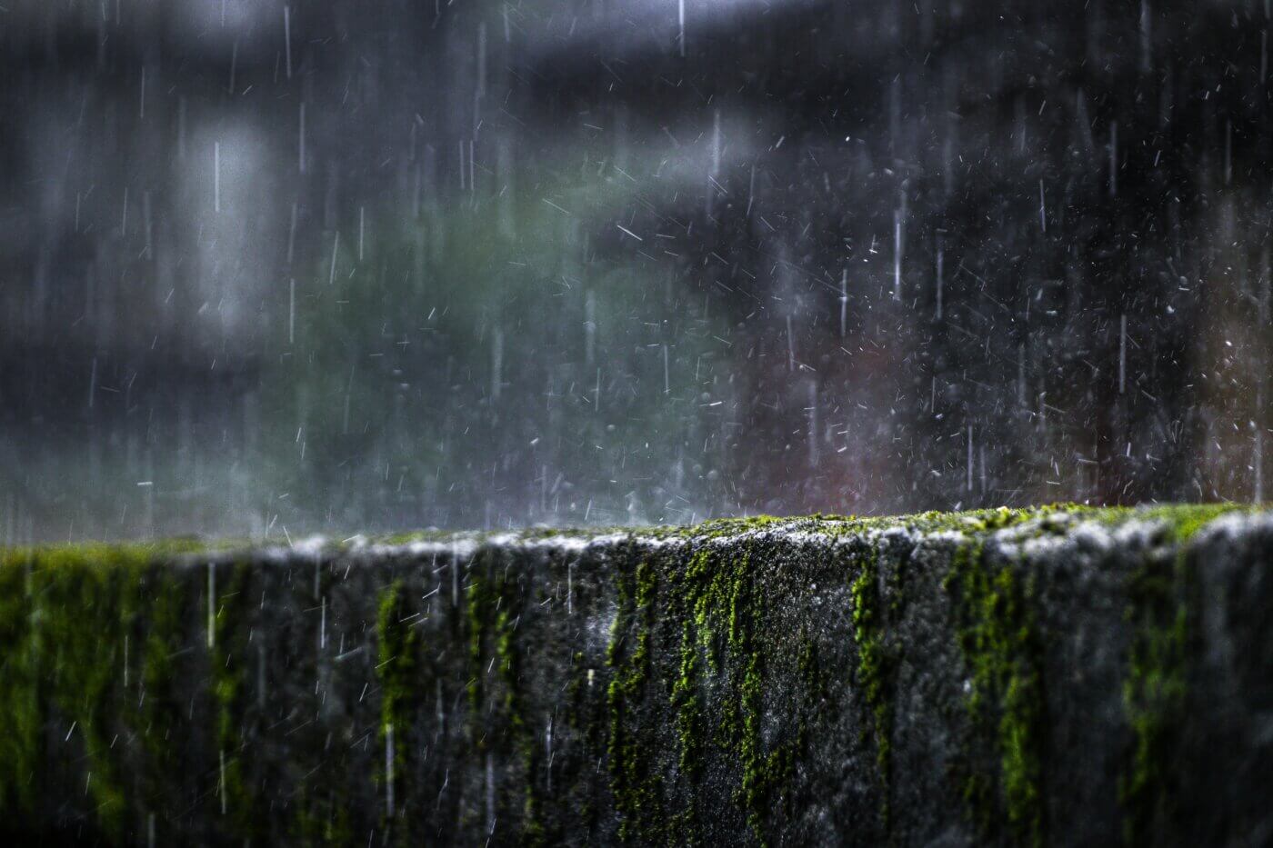 Weather Whiplash