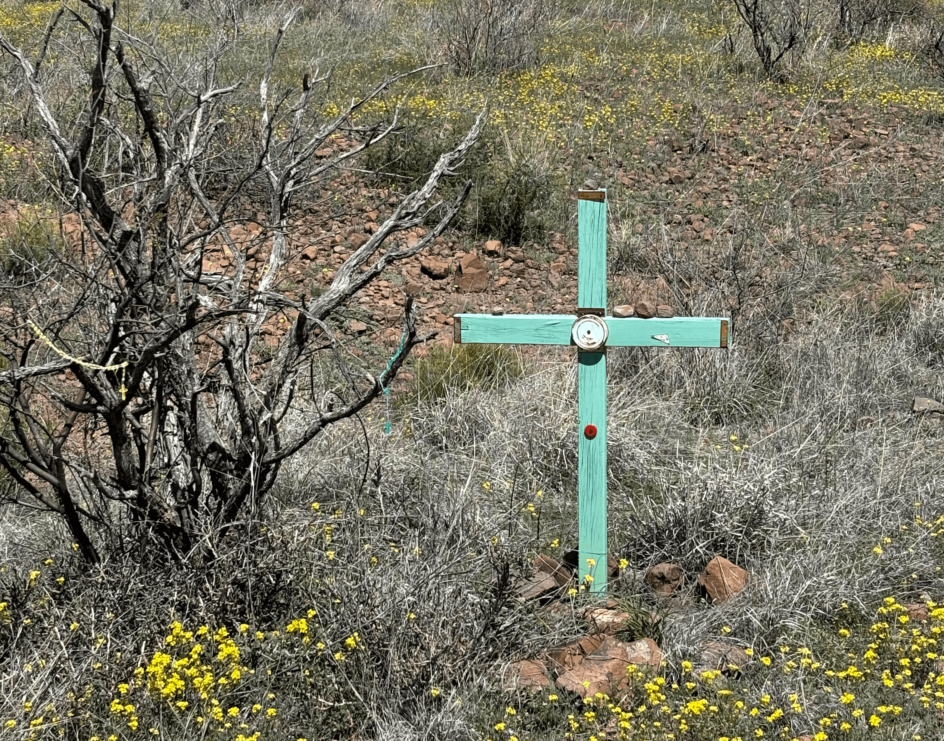 Featured image for “Life and Death on Cemetery Hill”