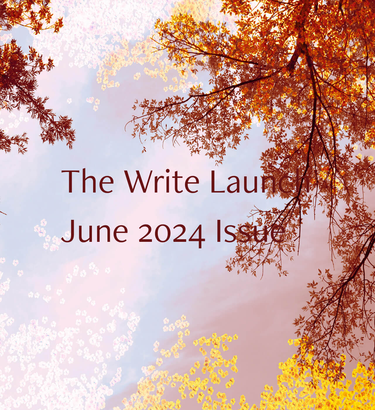 Write Launc The Write Launch | A Literary Magazine from bookscover2cover
