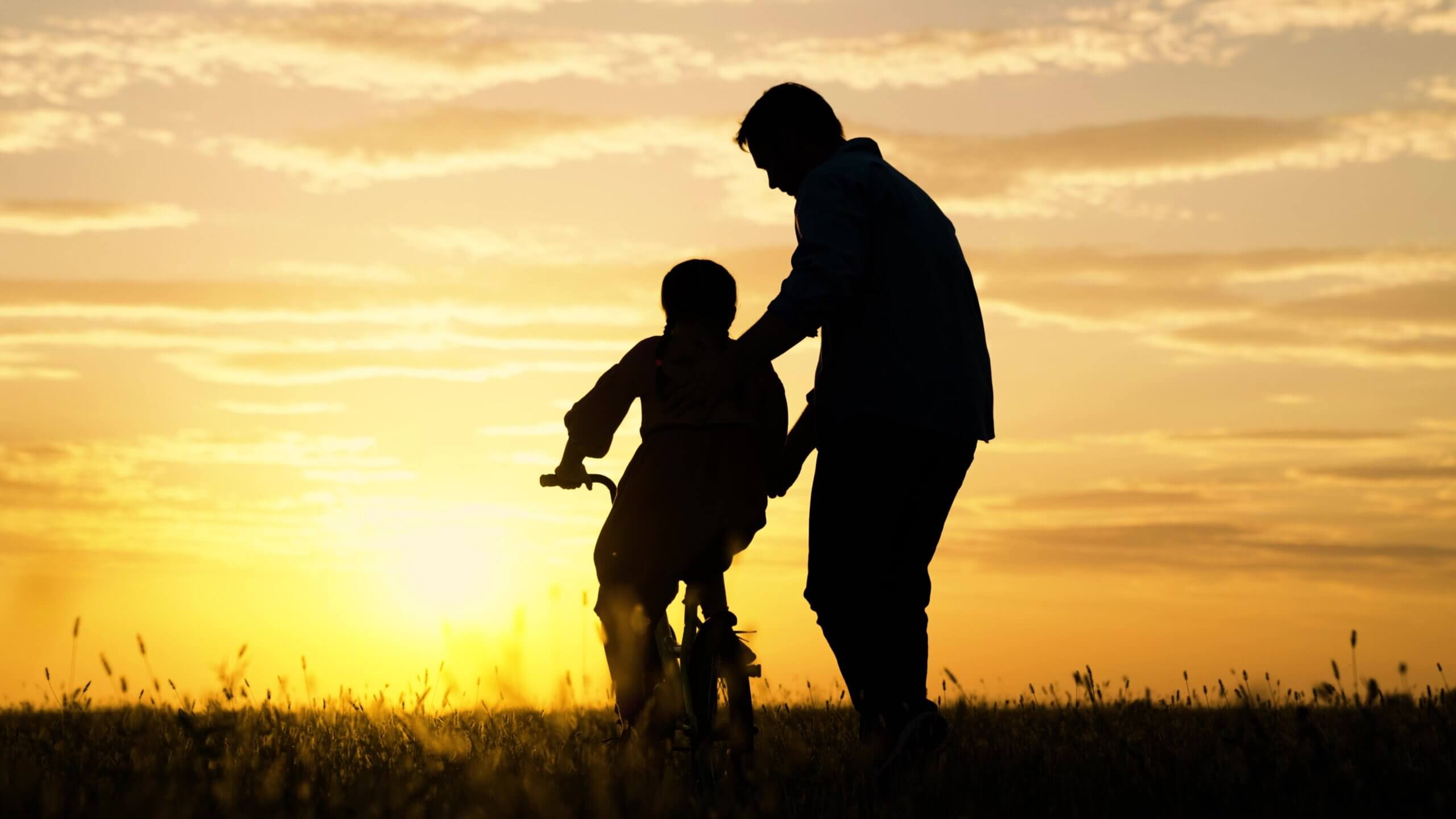 Featured image for “Training Wheels”