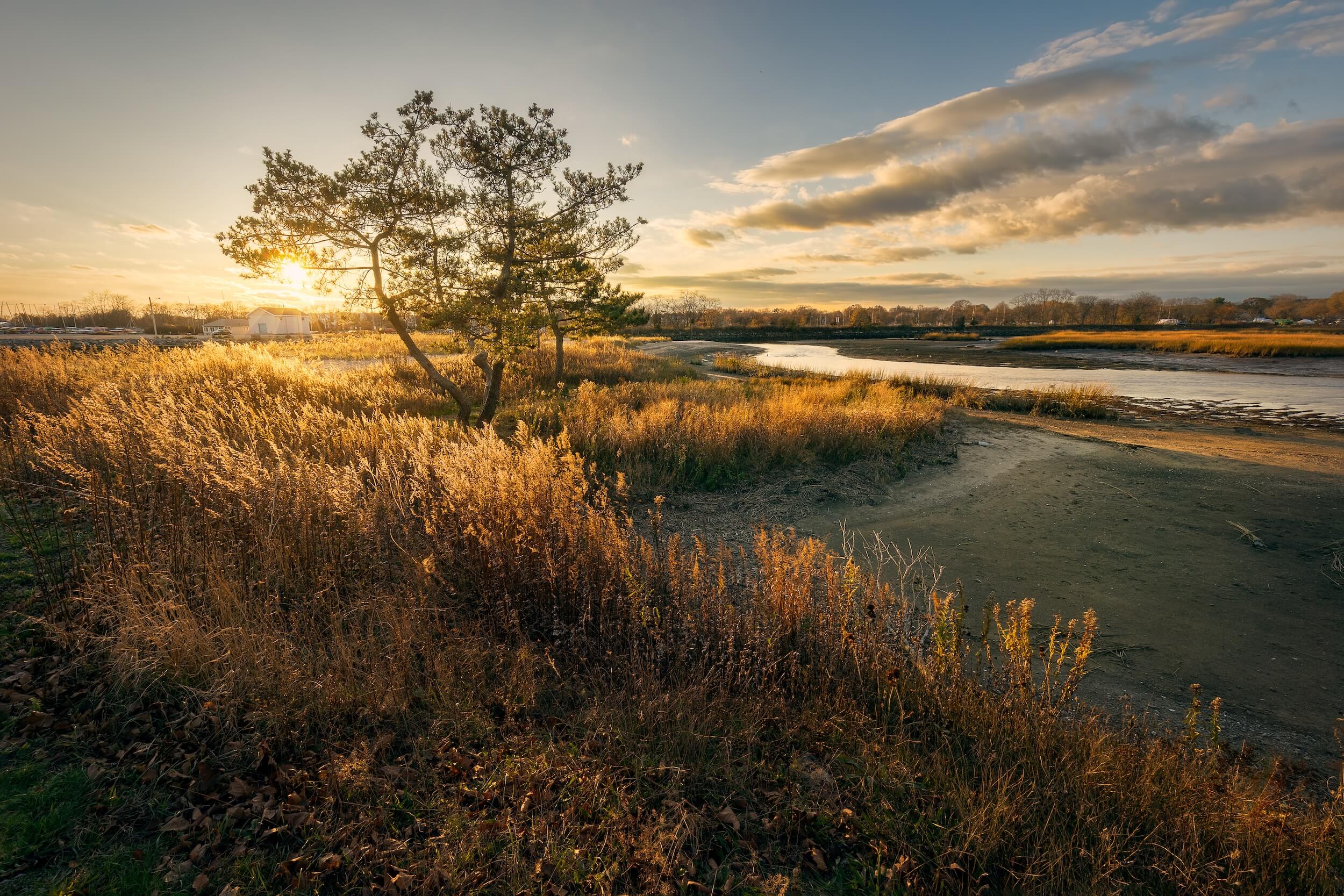Featured image for “Sunny Side Up”