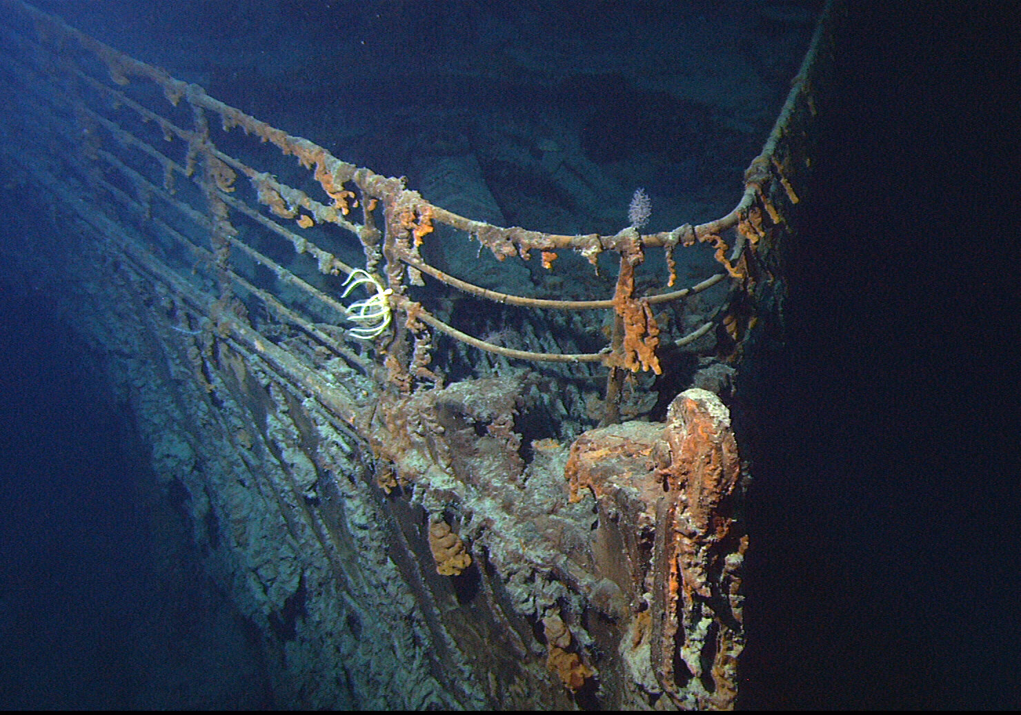 Featured image for “Black Lives on the Titanic”