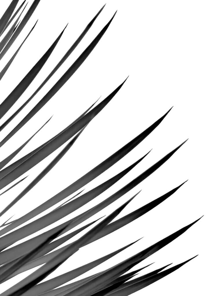 Essence_of_Nature_I