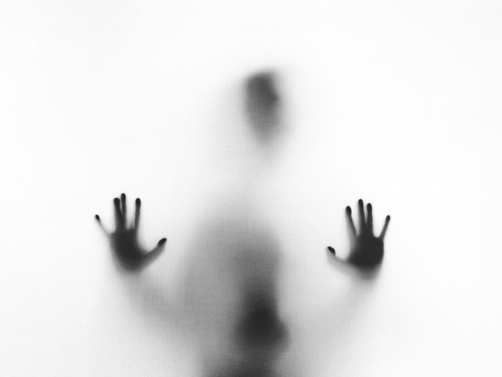 Featured image for “Die Dubbel”