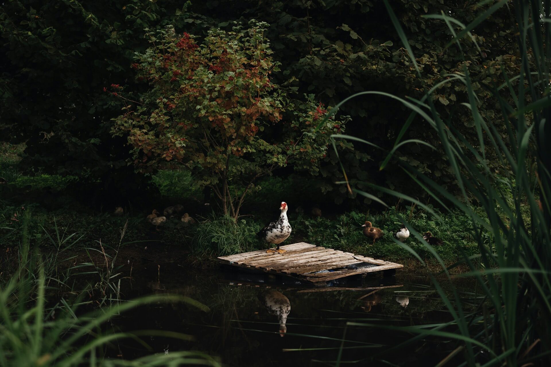 Featured image for “We Are Never Truly Alone”