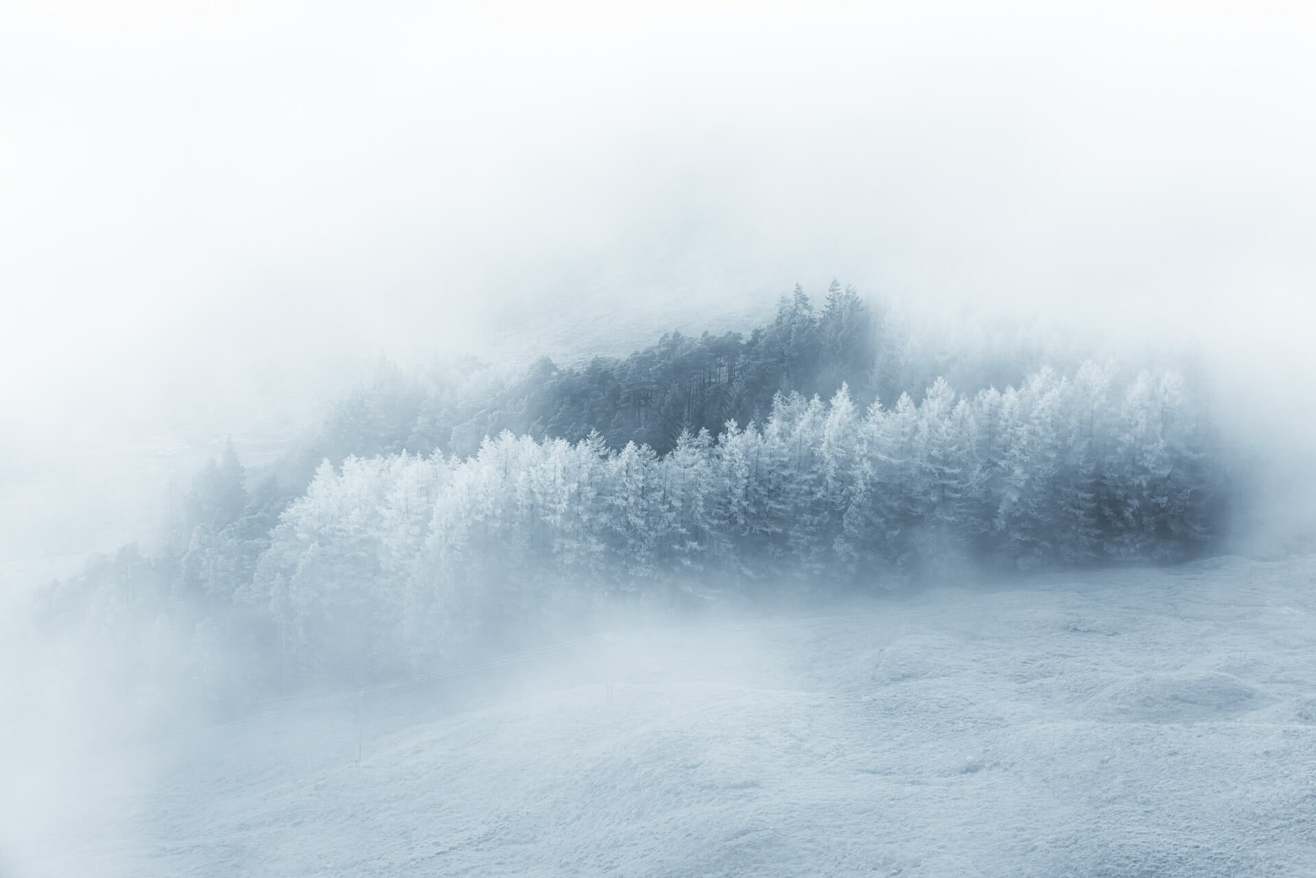 Featured image for ““404[Snow],” “Equinox Lily,” and  “Unknown Algorithm””
