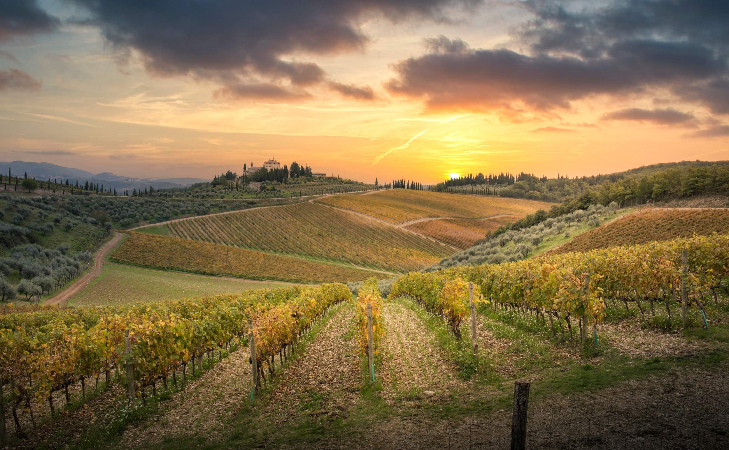 Featured image for “What Brings Us Together”