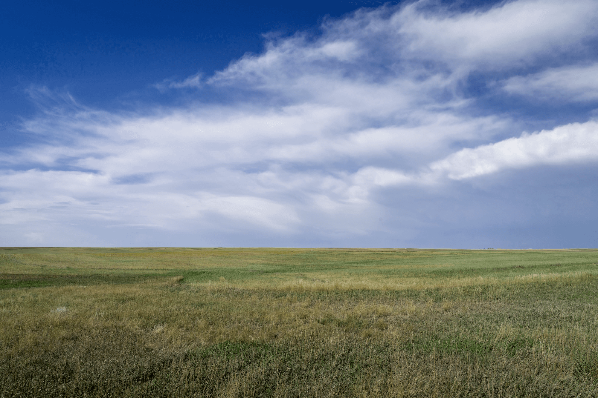 Featured image for “A Girl of the High Country”