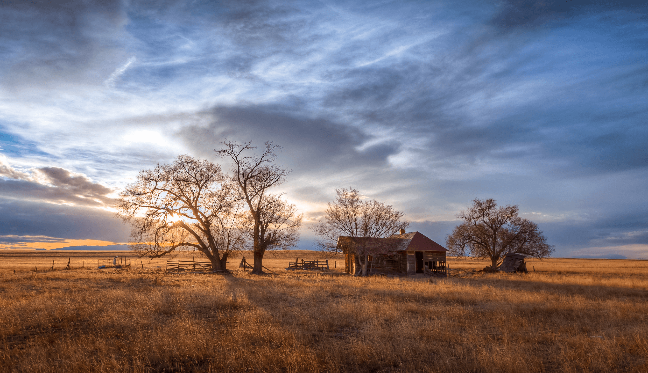 Featured image for “Little Boy at Home”