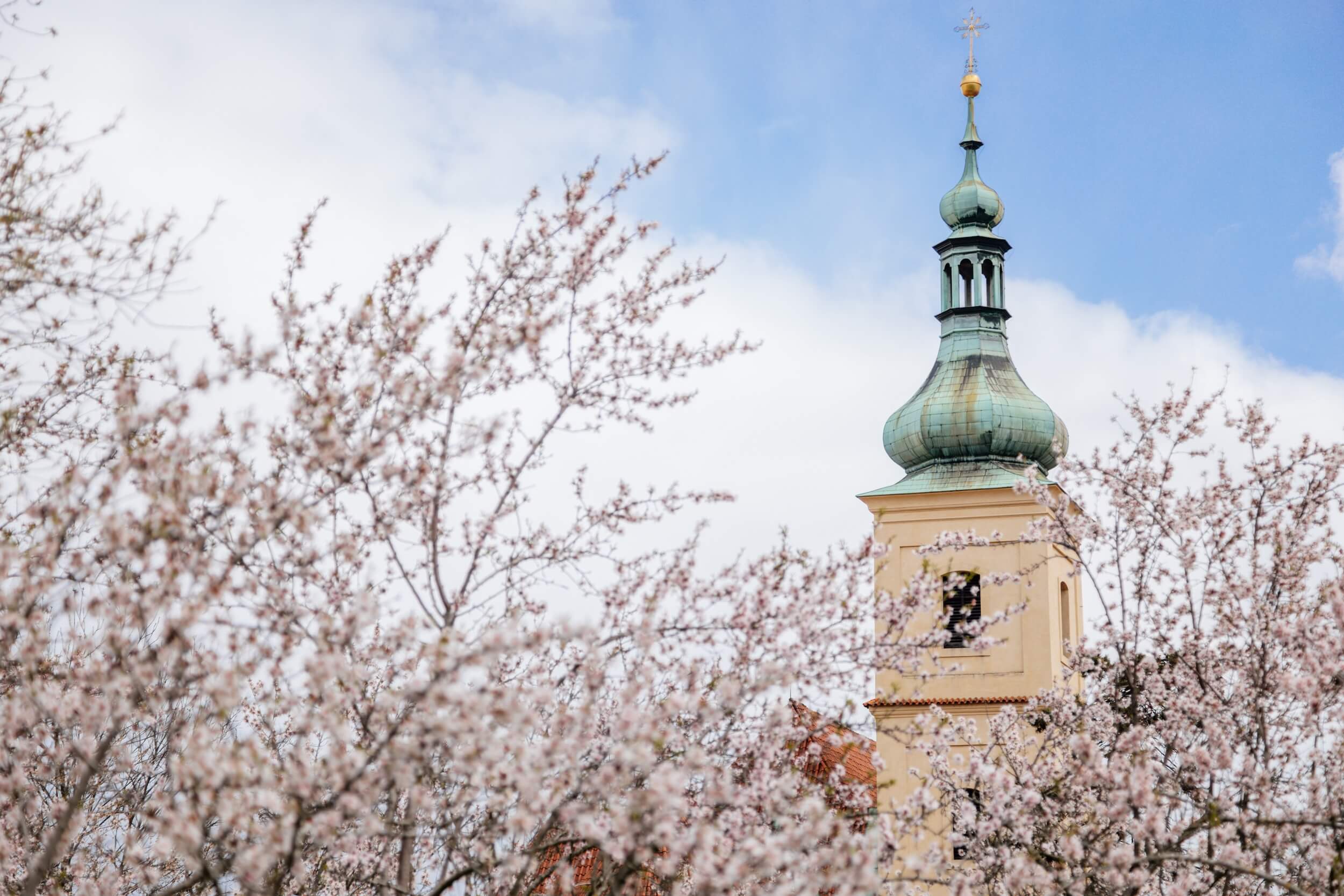 Featured image for “The Miraculous Infant of Prague”