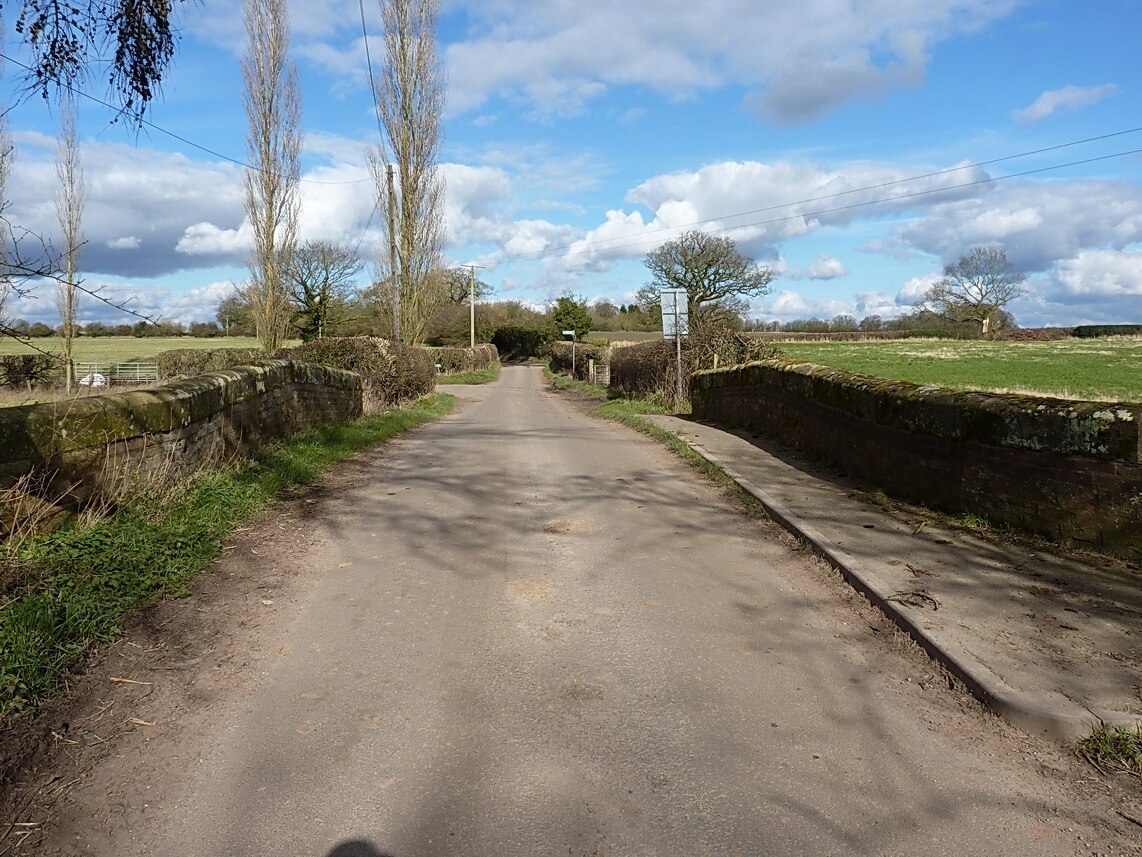 Featured image for “Mr Fallow”