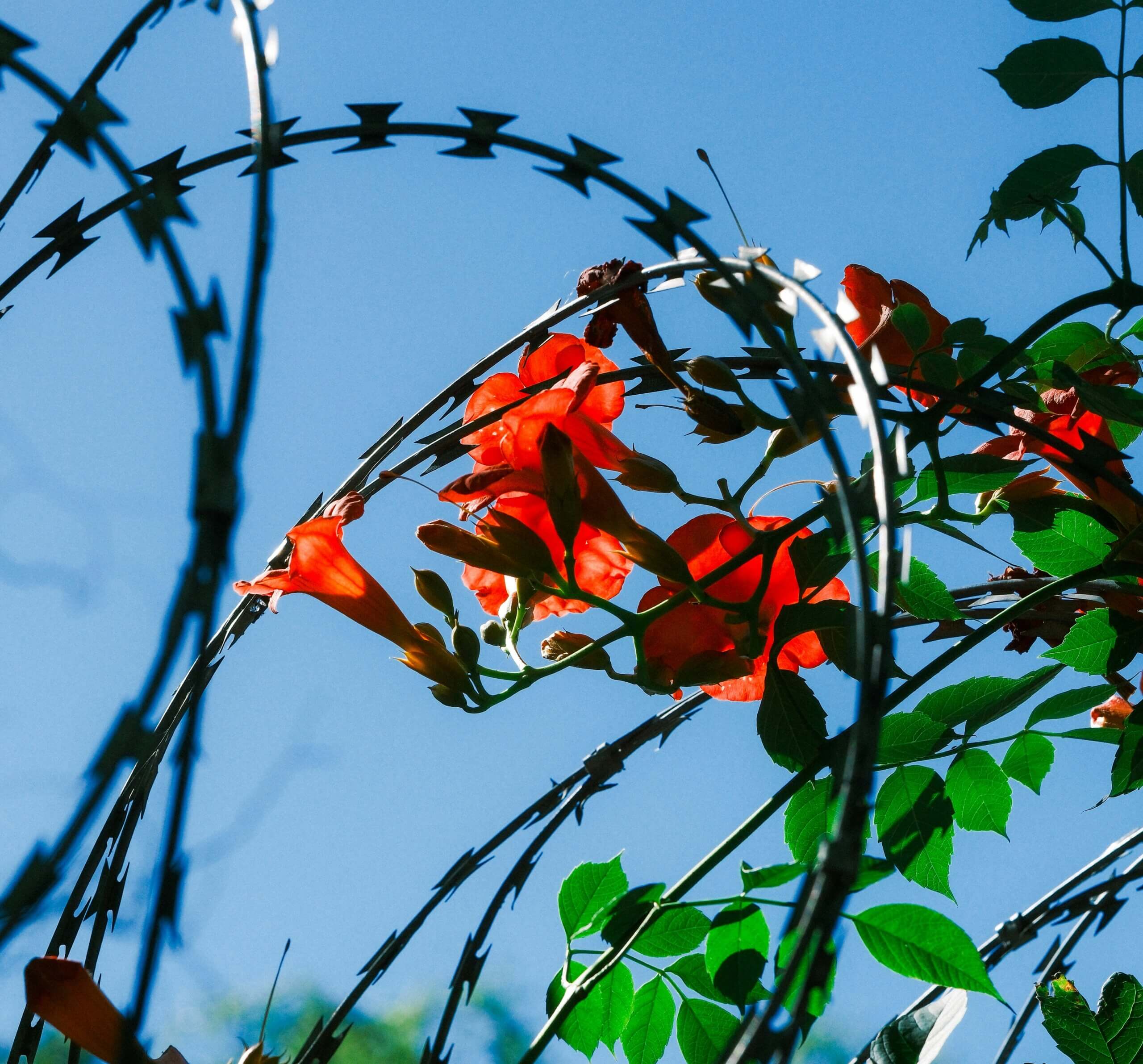 Featured image for “A Dad”