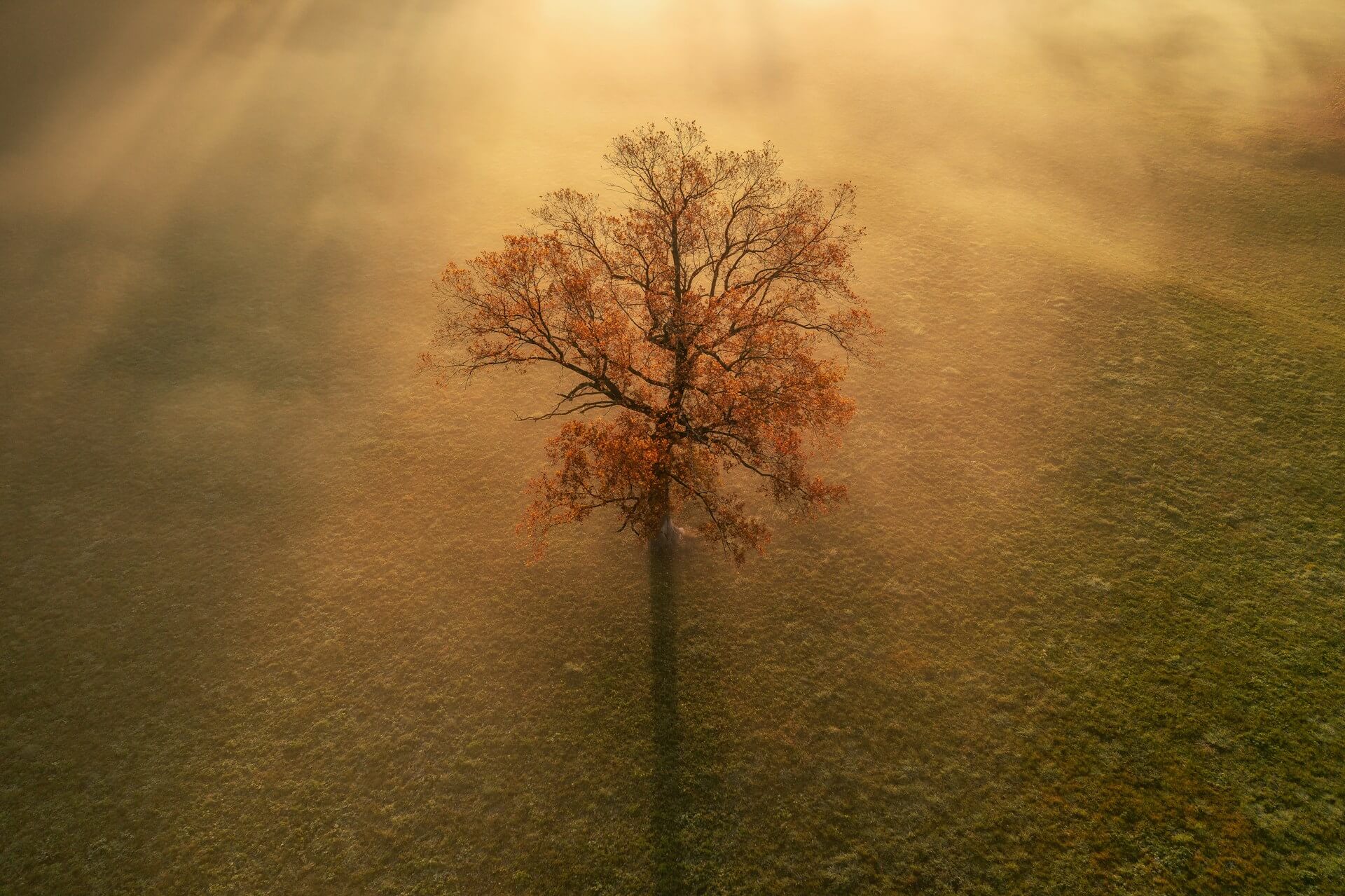 Featured image for “Rewind: October 3, 2020”