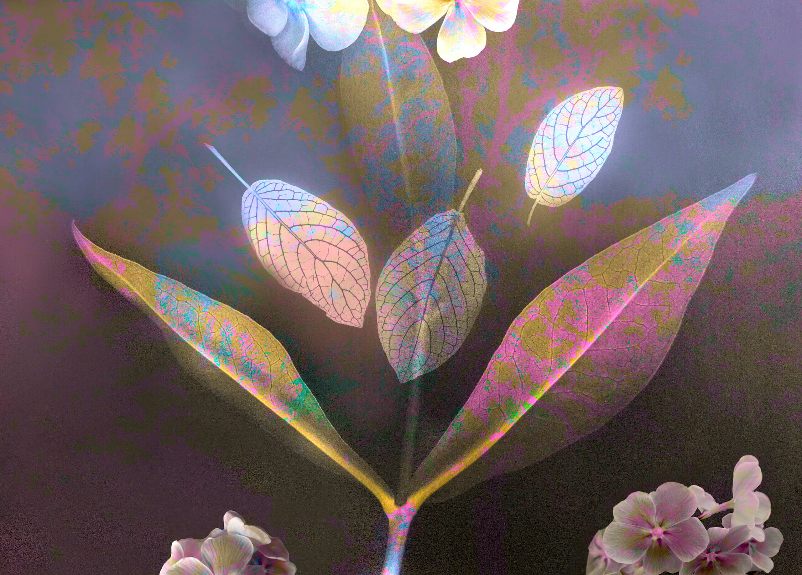 Featured image for “Pondering Eden”