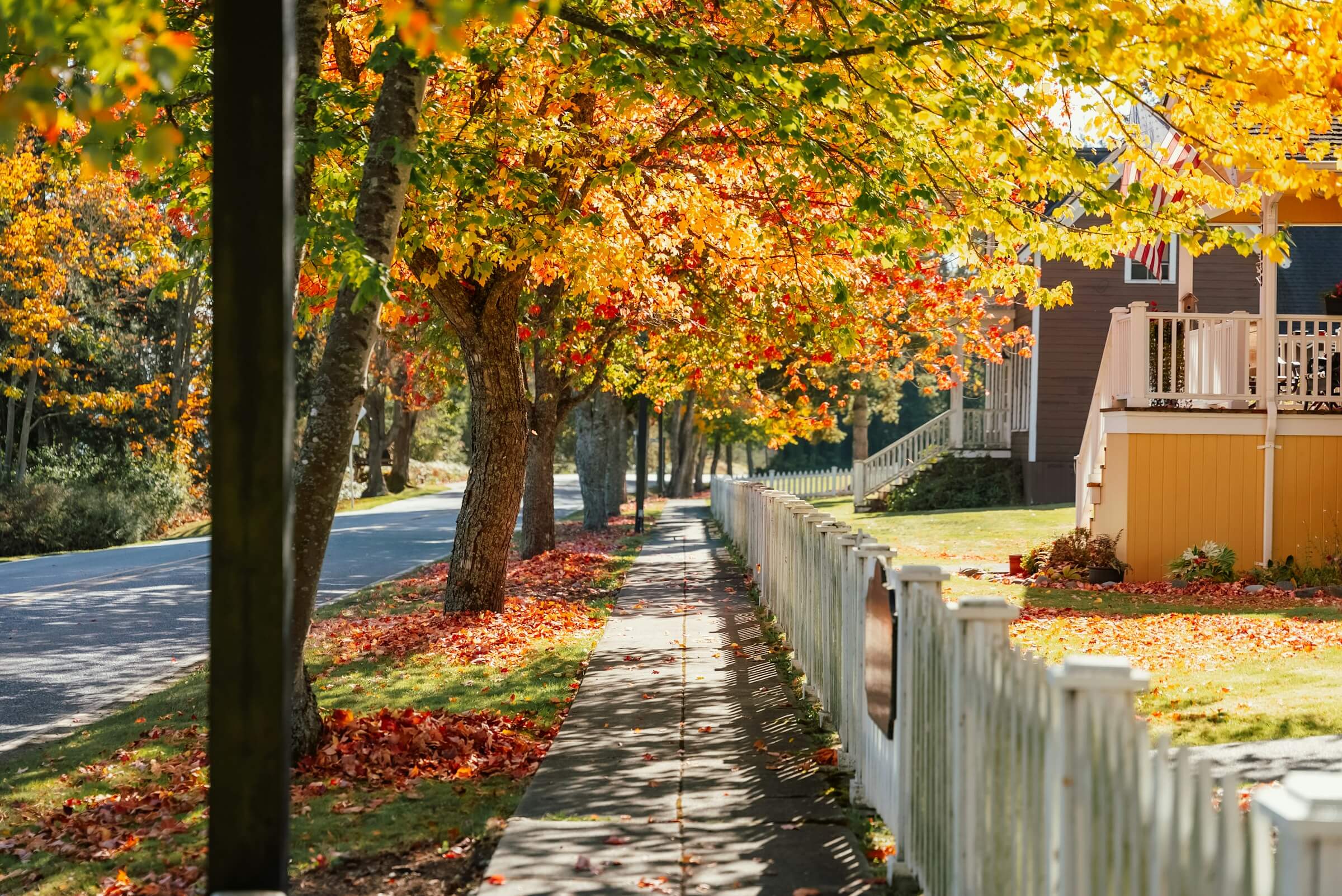 Featured image for “Driving Lessons”