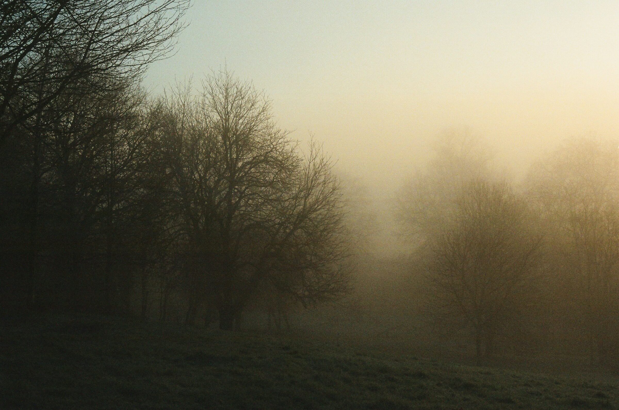 Featured image for ““Remnants of Treasure in Bucha,” “The Sense of a Poet,” and “28 January””