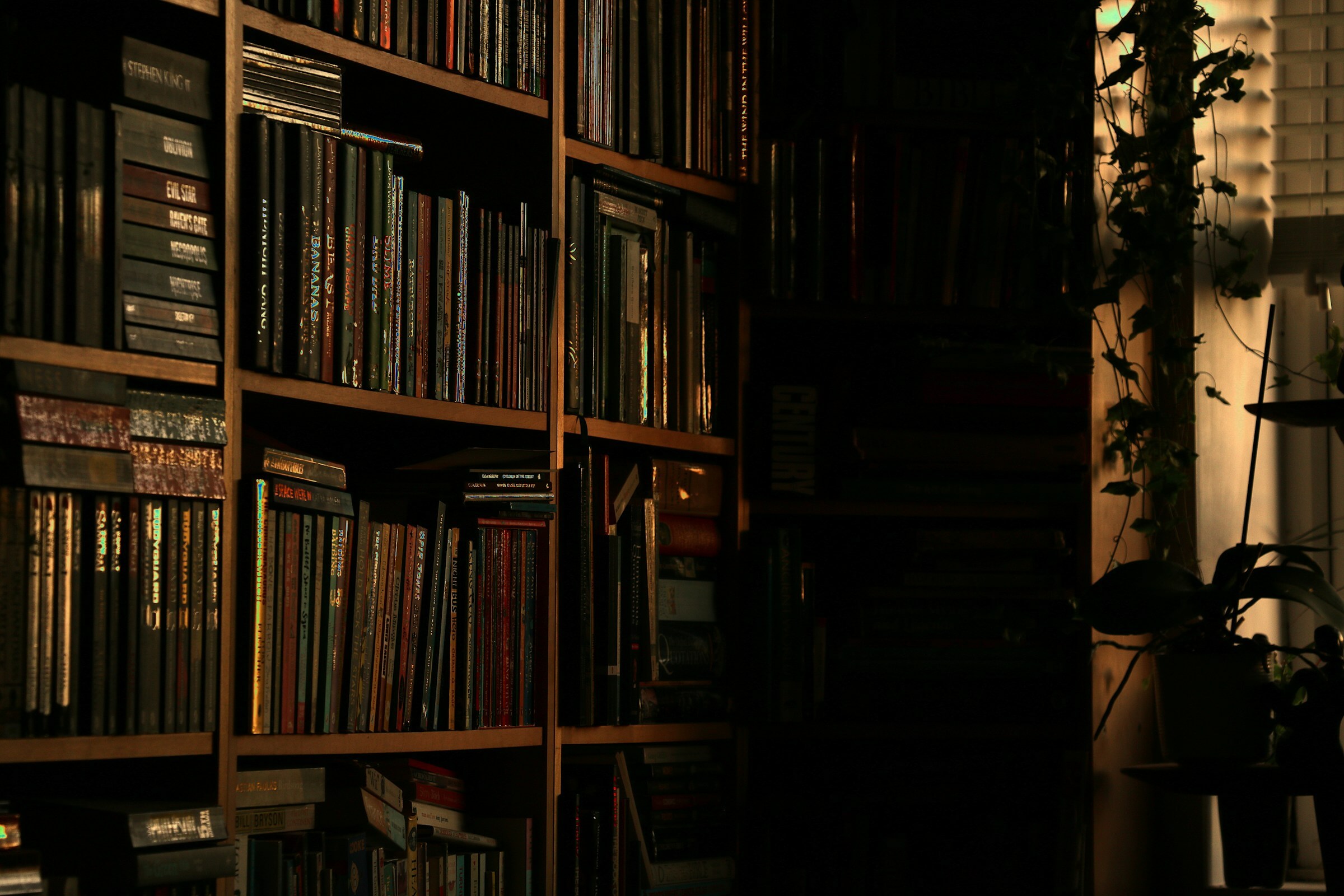 Featured image for “Browntown Road’s Untold Stories”