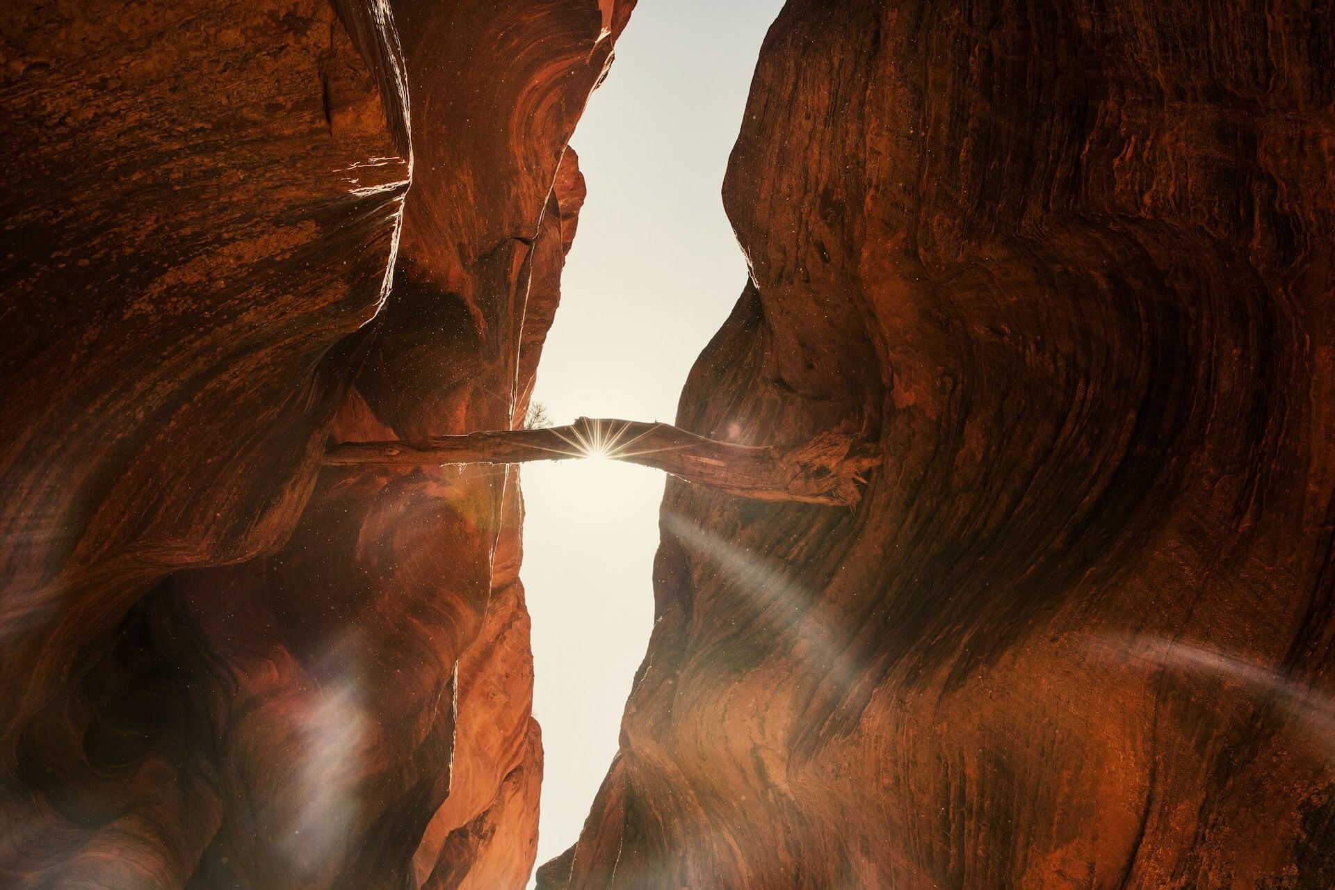 Featured image for ““Office Hours,” “In the Early Morning,” and “Exit Strategy””