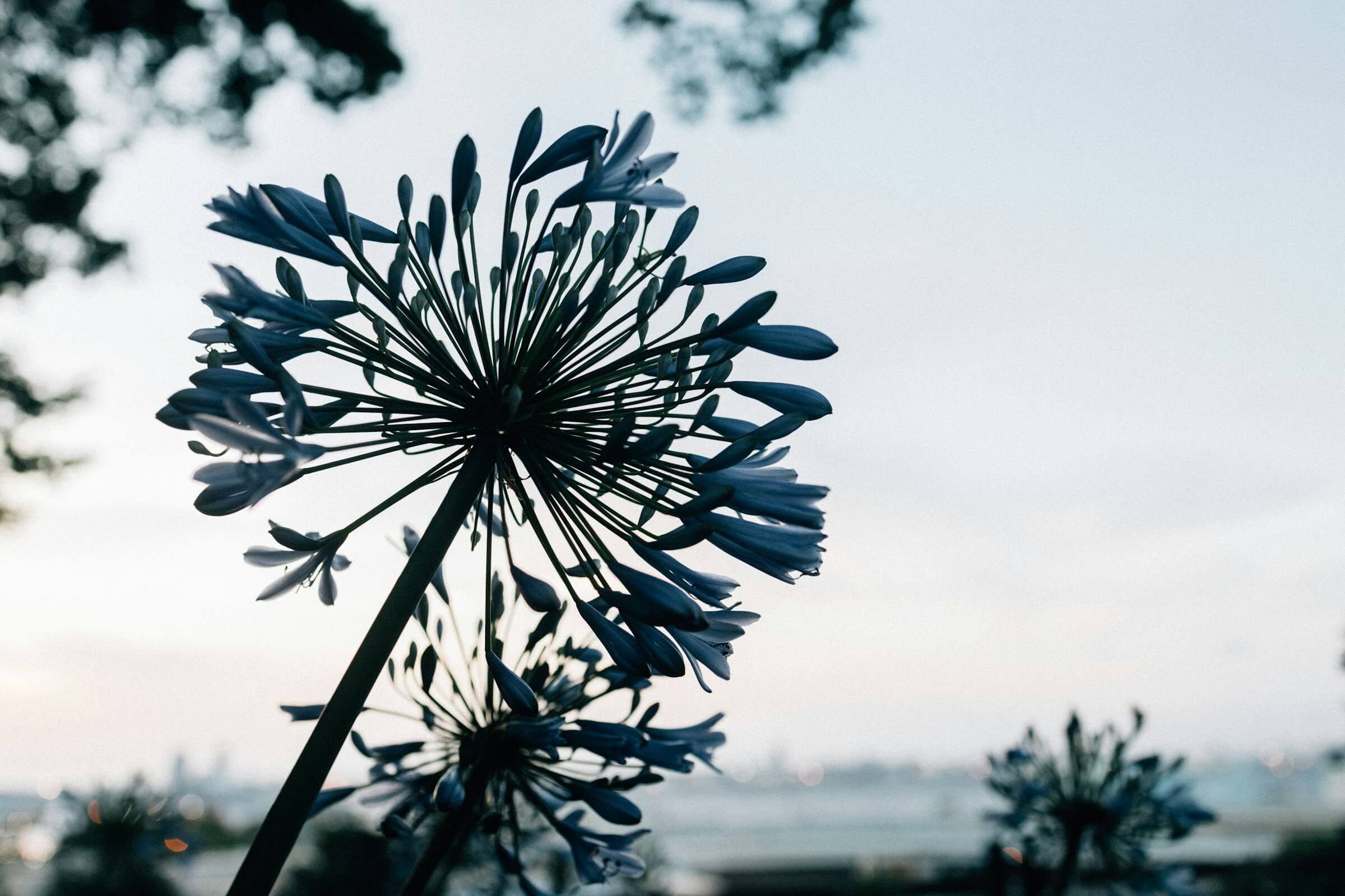 Featured image for ““My Presence,” “A Necessary Exercise,” and “A Quiet Song””