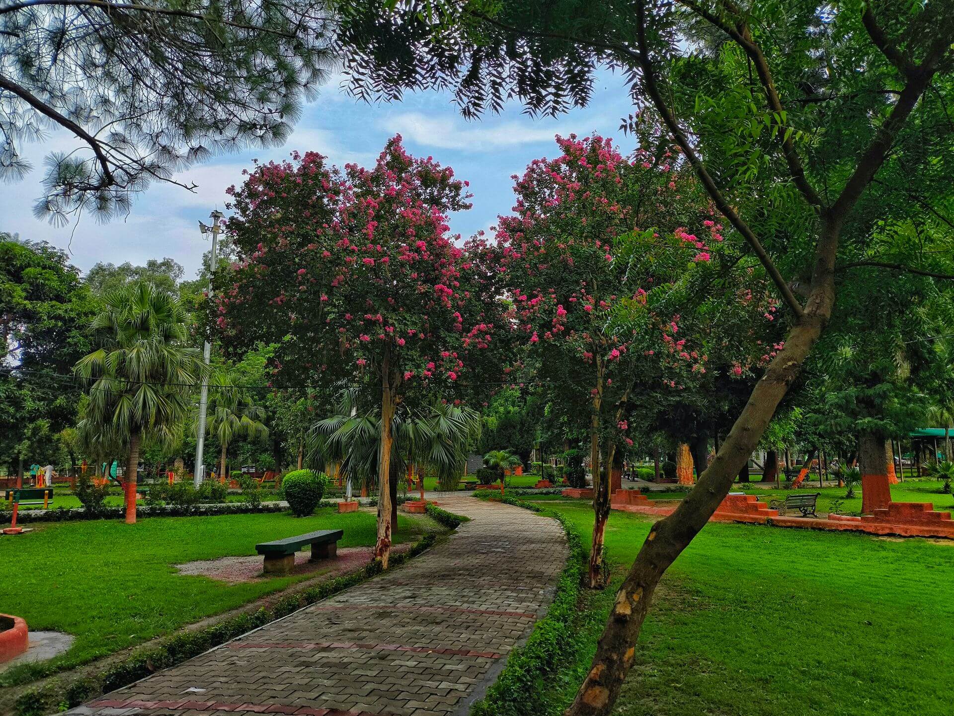 Featured image for “A Woman Walks”