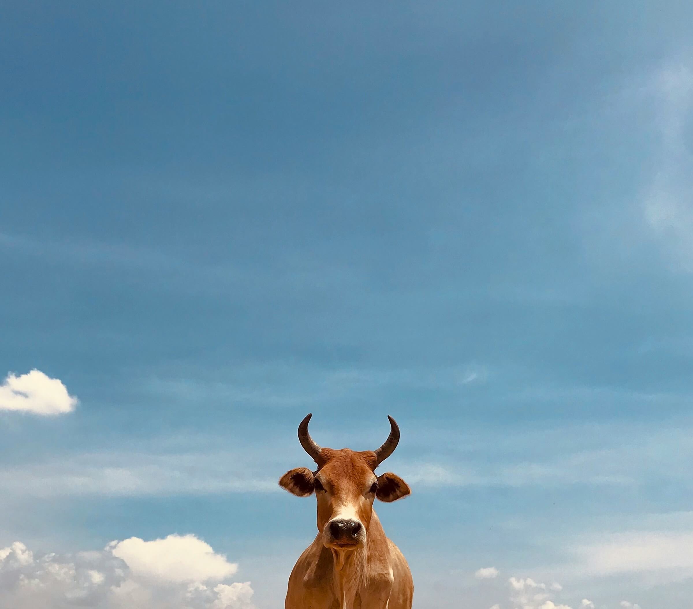 Featured image for ““Asleep on the Hill Until,” “Not for You,” and “Attention””