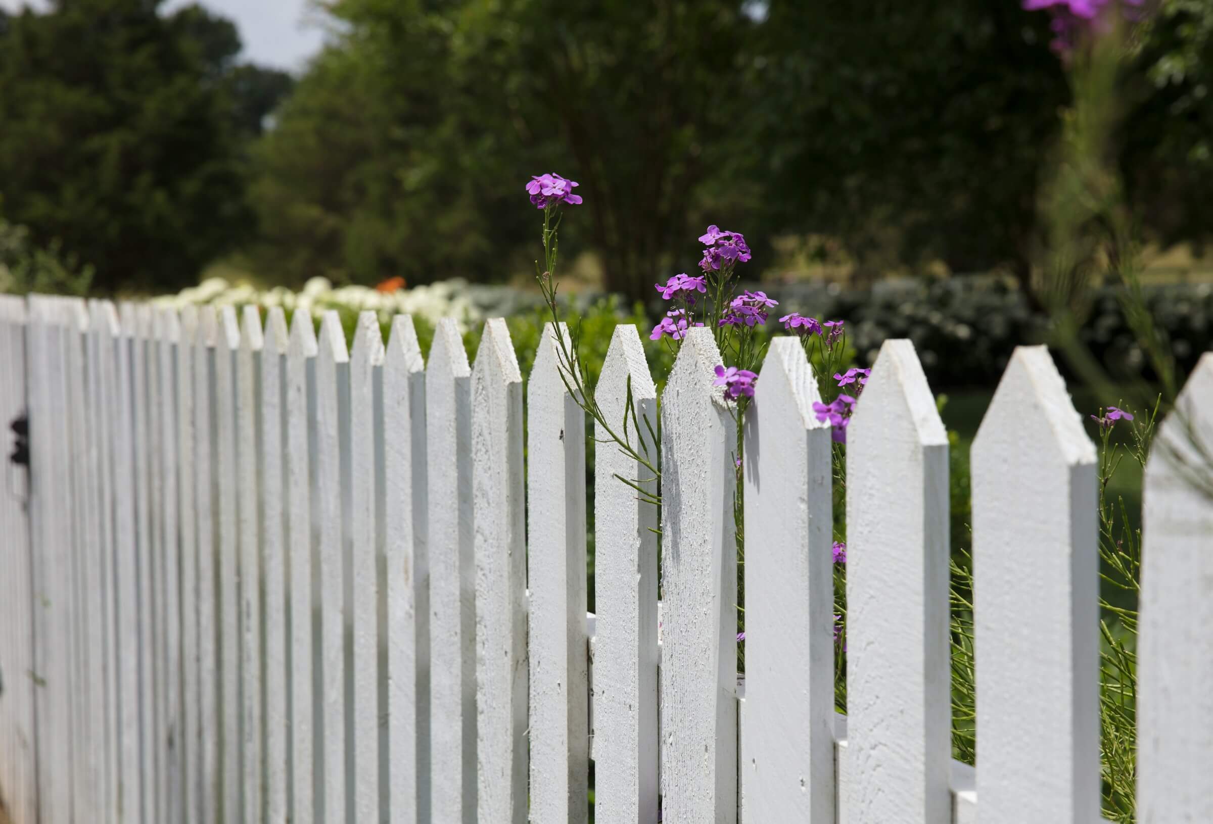 Featured image for ““To Marilyn Buried Next Door” and “Your Girl””