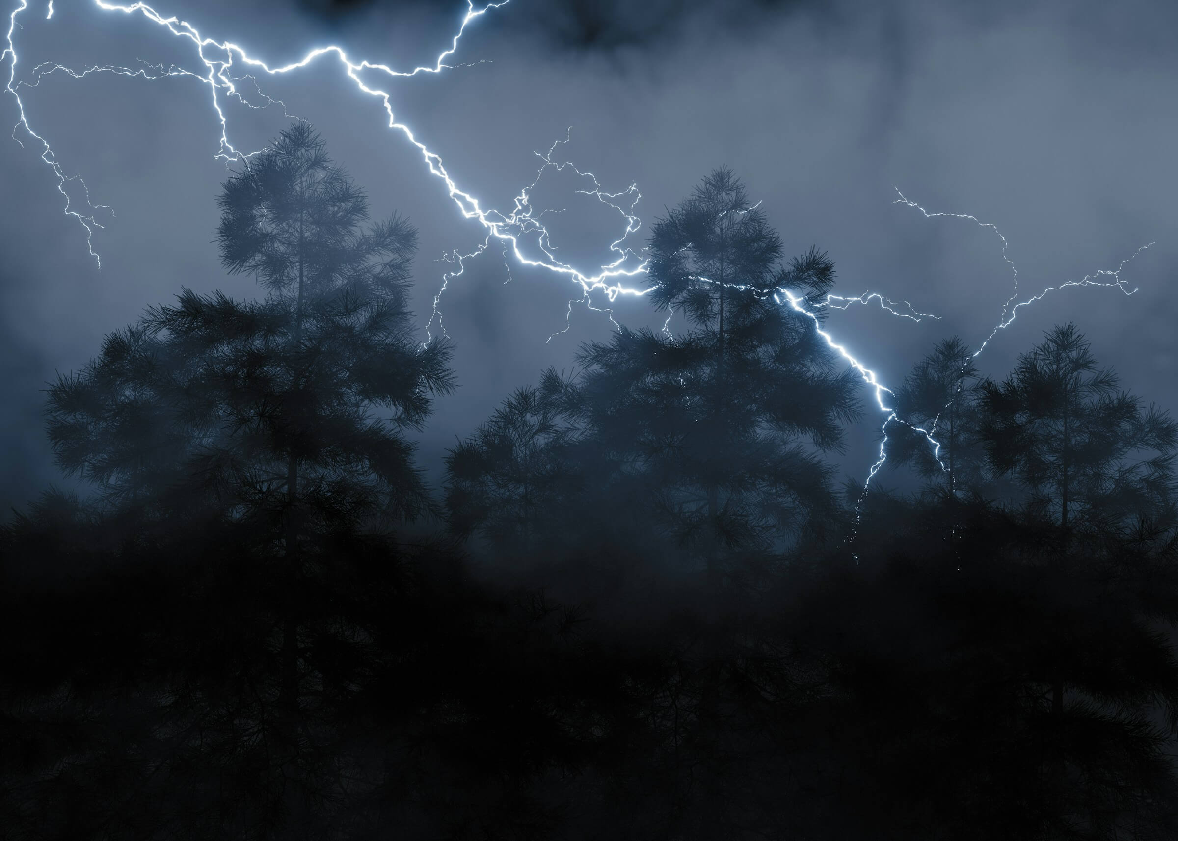 Featured image for “Wilderness History Map”