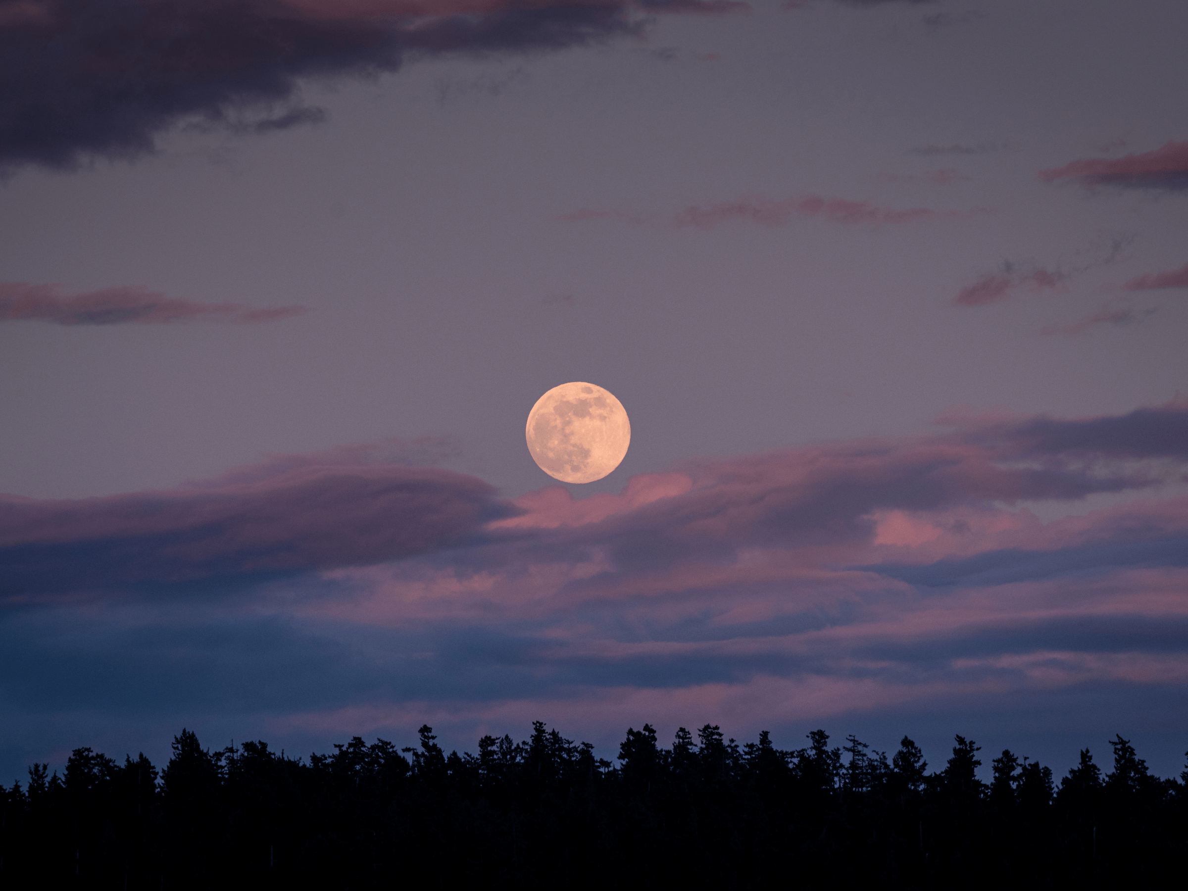 Featured image for ““Full Flower Moon,” “Stilling Point,” and “Offering””