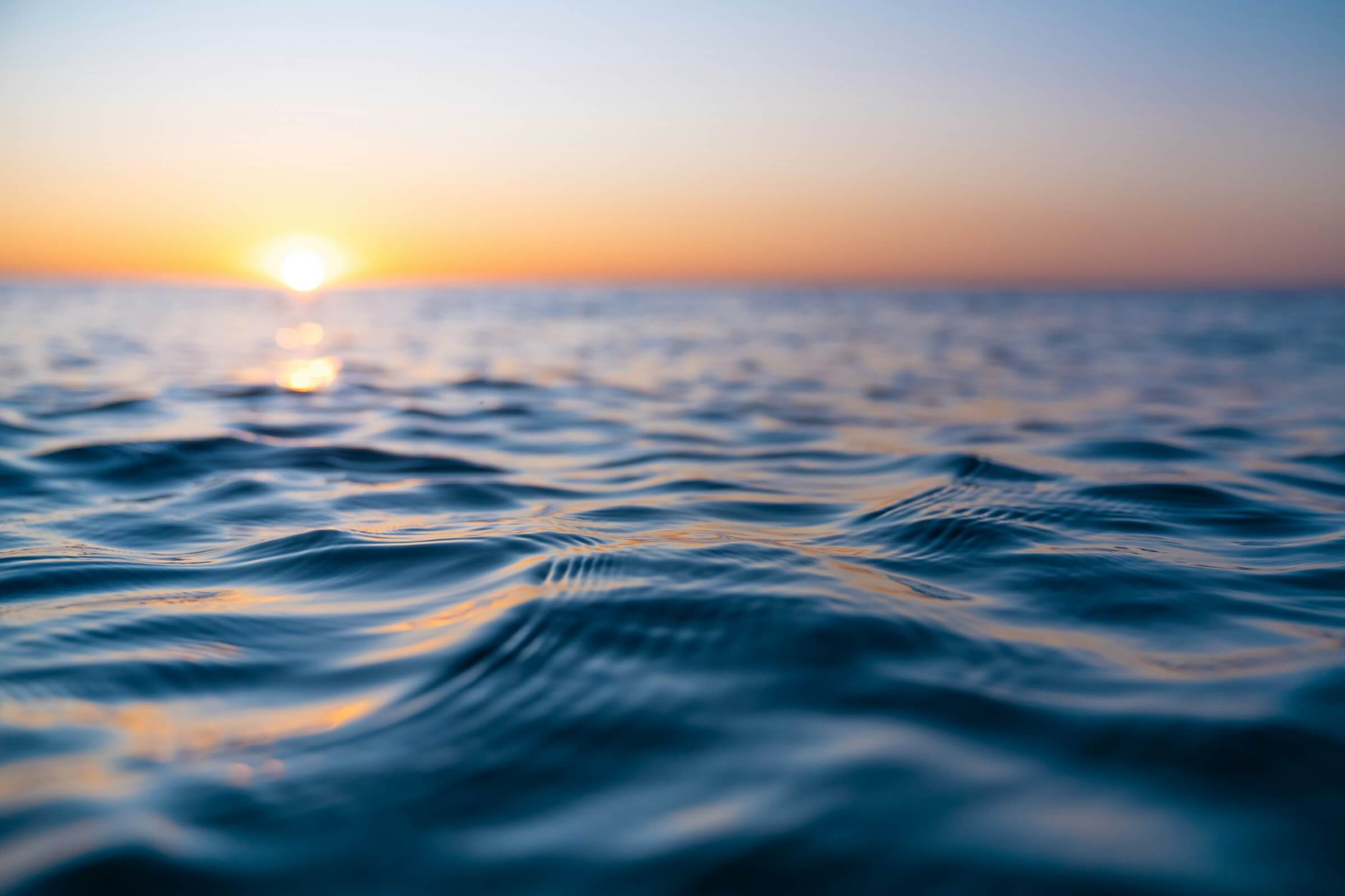 Featured image for ““Salt and Light” and “Then, Myself””