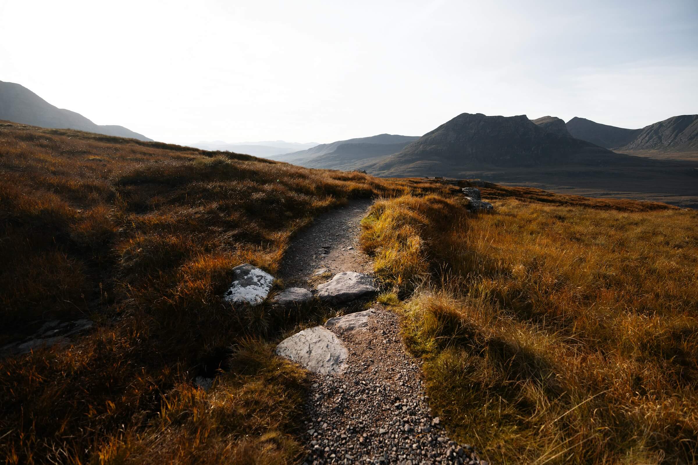 Featured image for “Stay Well”