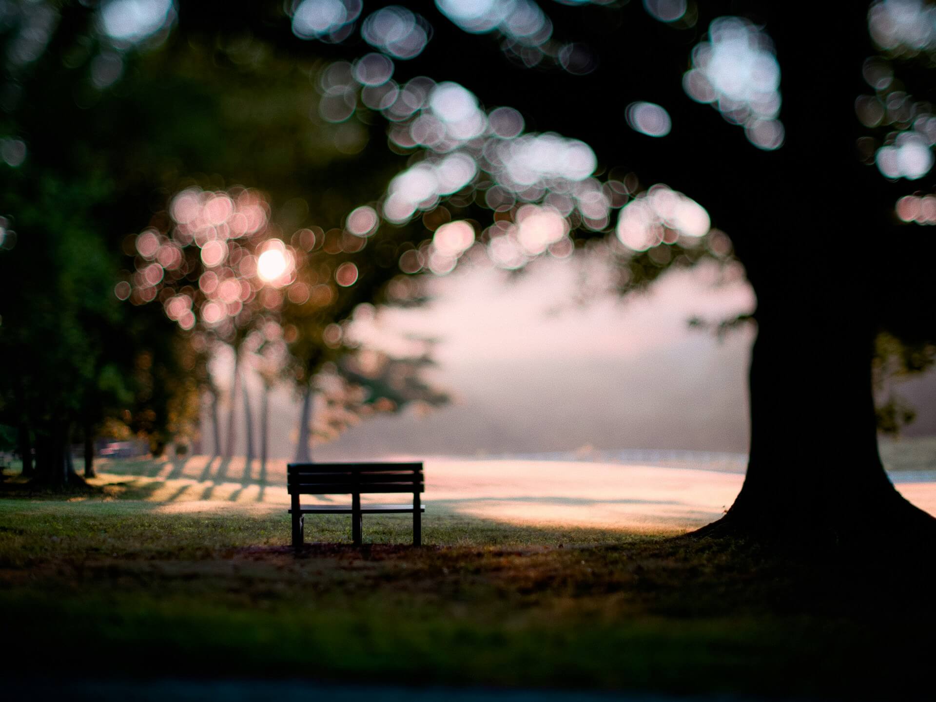 Featured image for “Divine Timing”