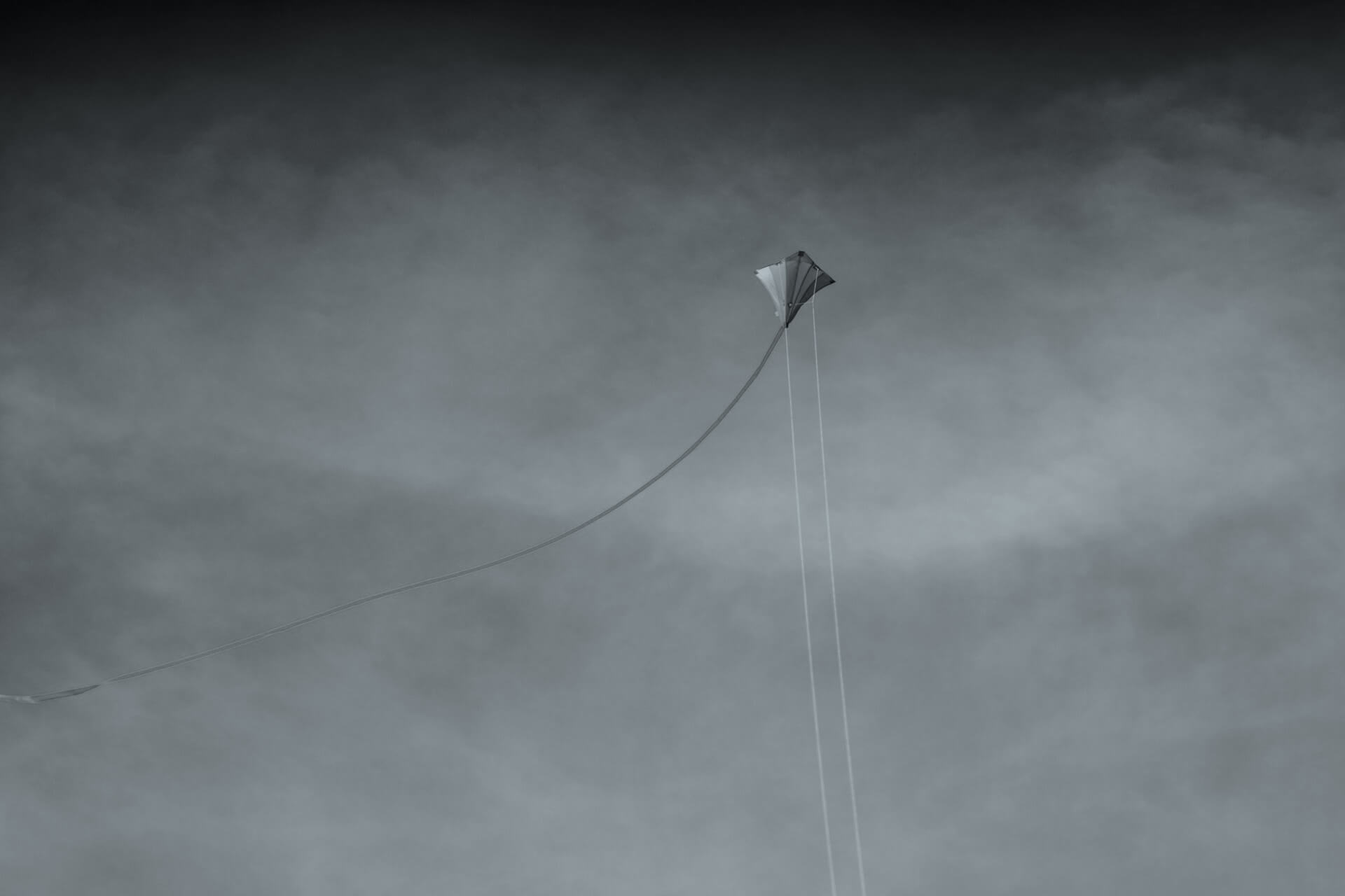 Featured image for “Kites”